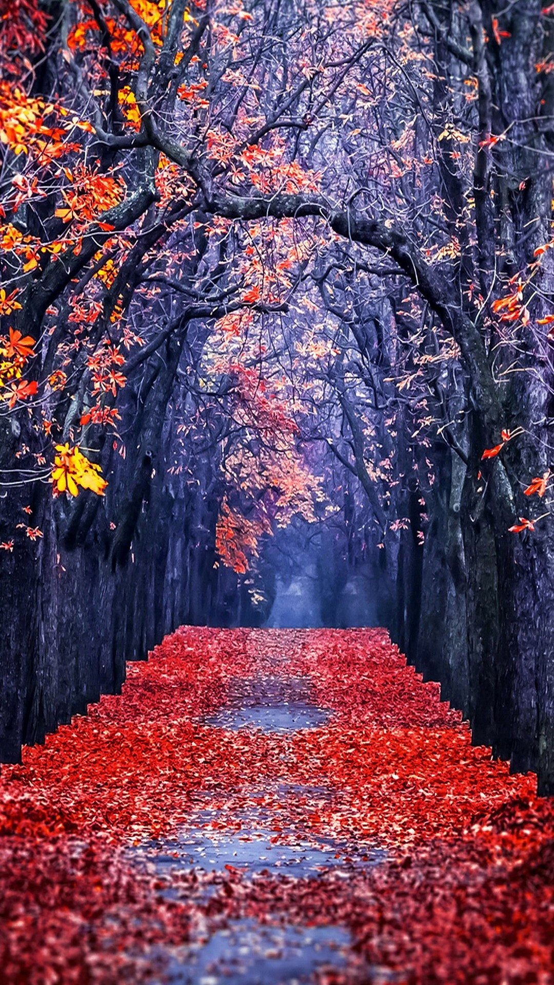 1080x1920 25 best ideas about <b>Fall</b> background on Pinterest |