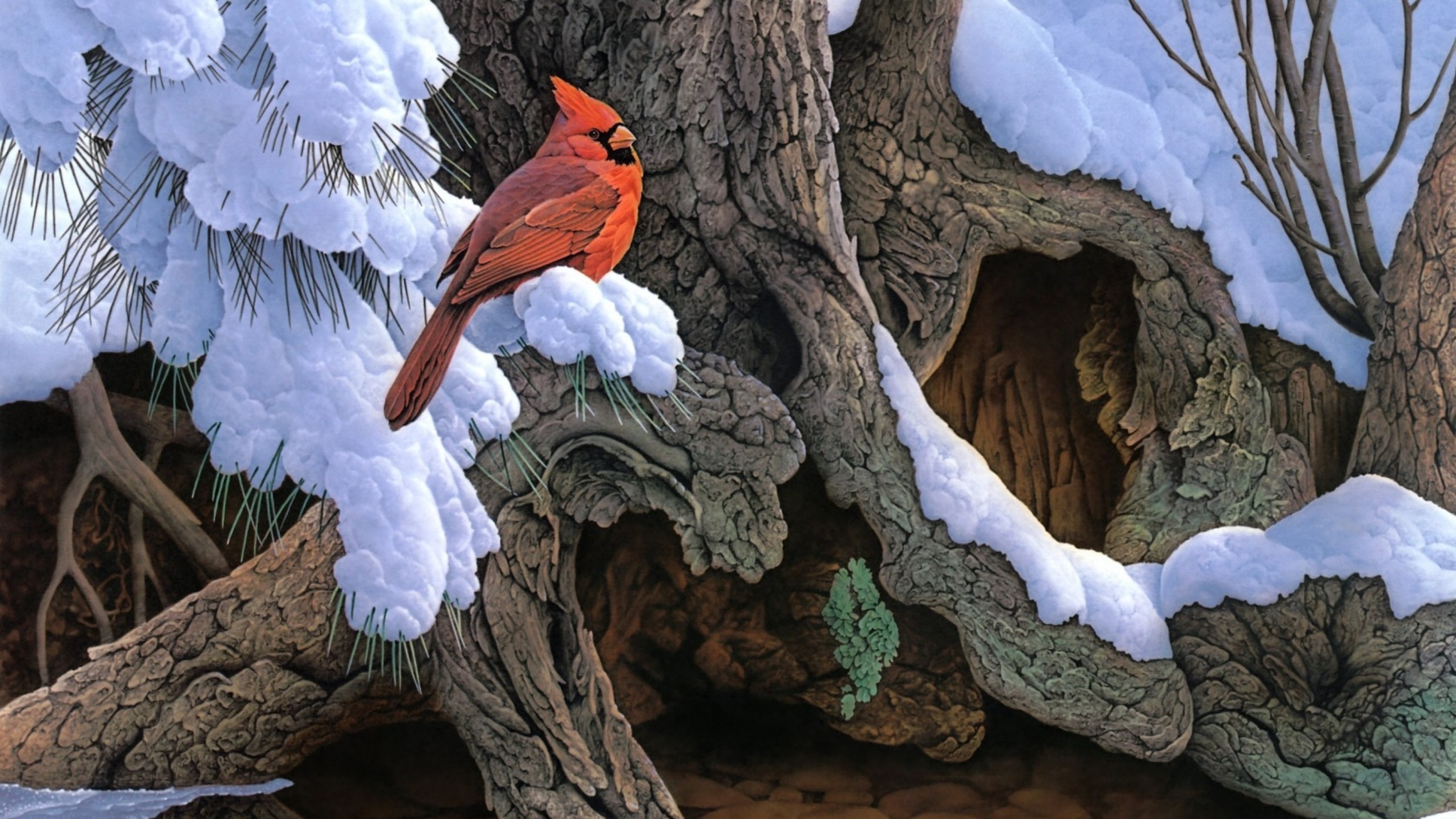 3840x2160  Wallpaper painting, snow, winter, tree, bird, cardinal
