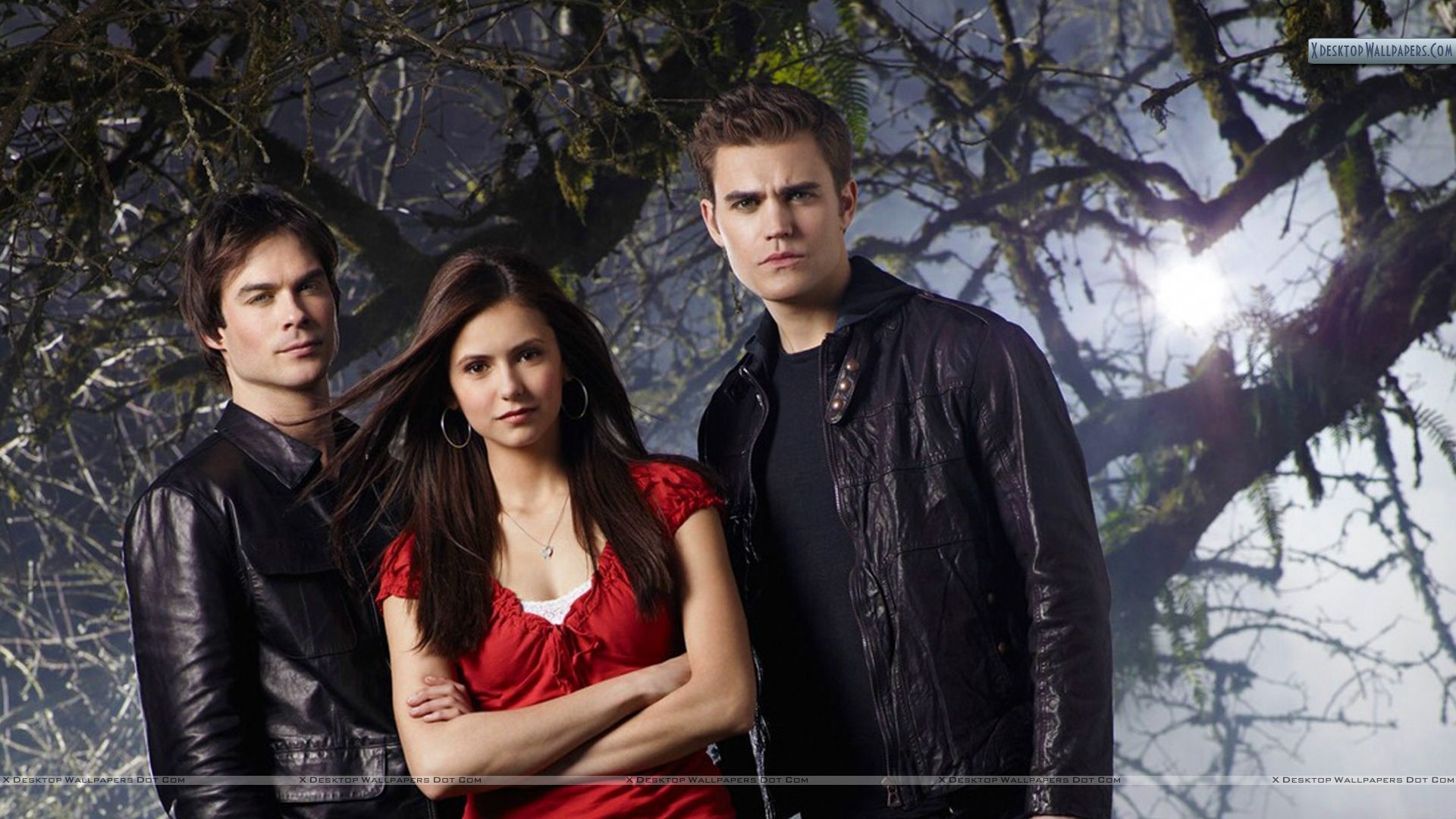 1920x1080 You are viewing wallpaper titled "Vampire Diaries ...