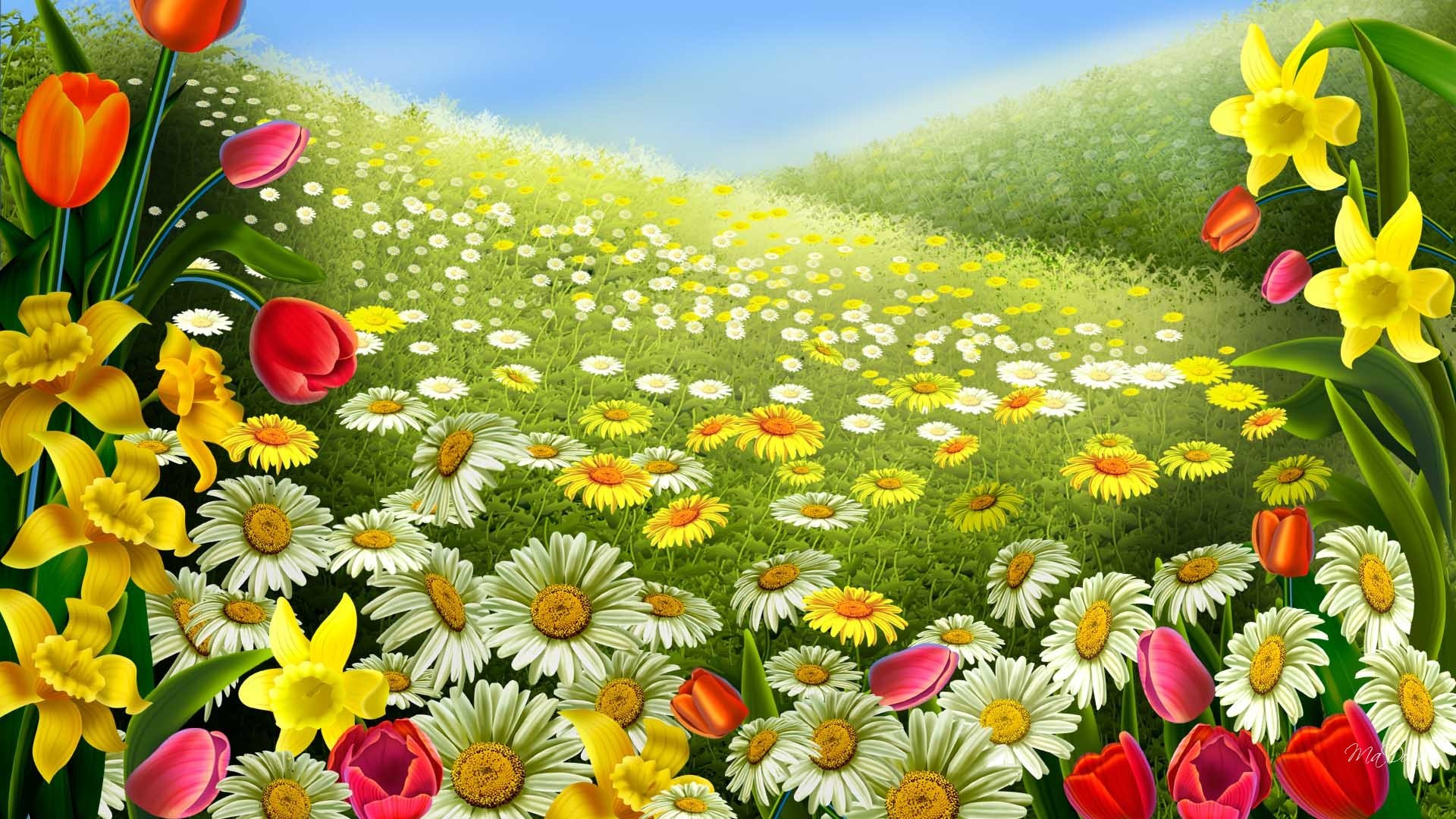 1920x1080 Beautiful Flowers Wallpaper Picture Desktop