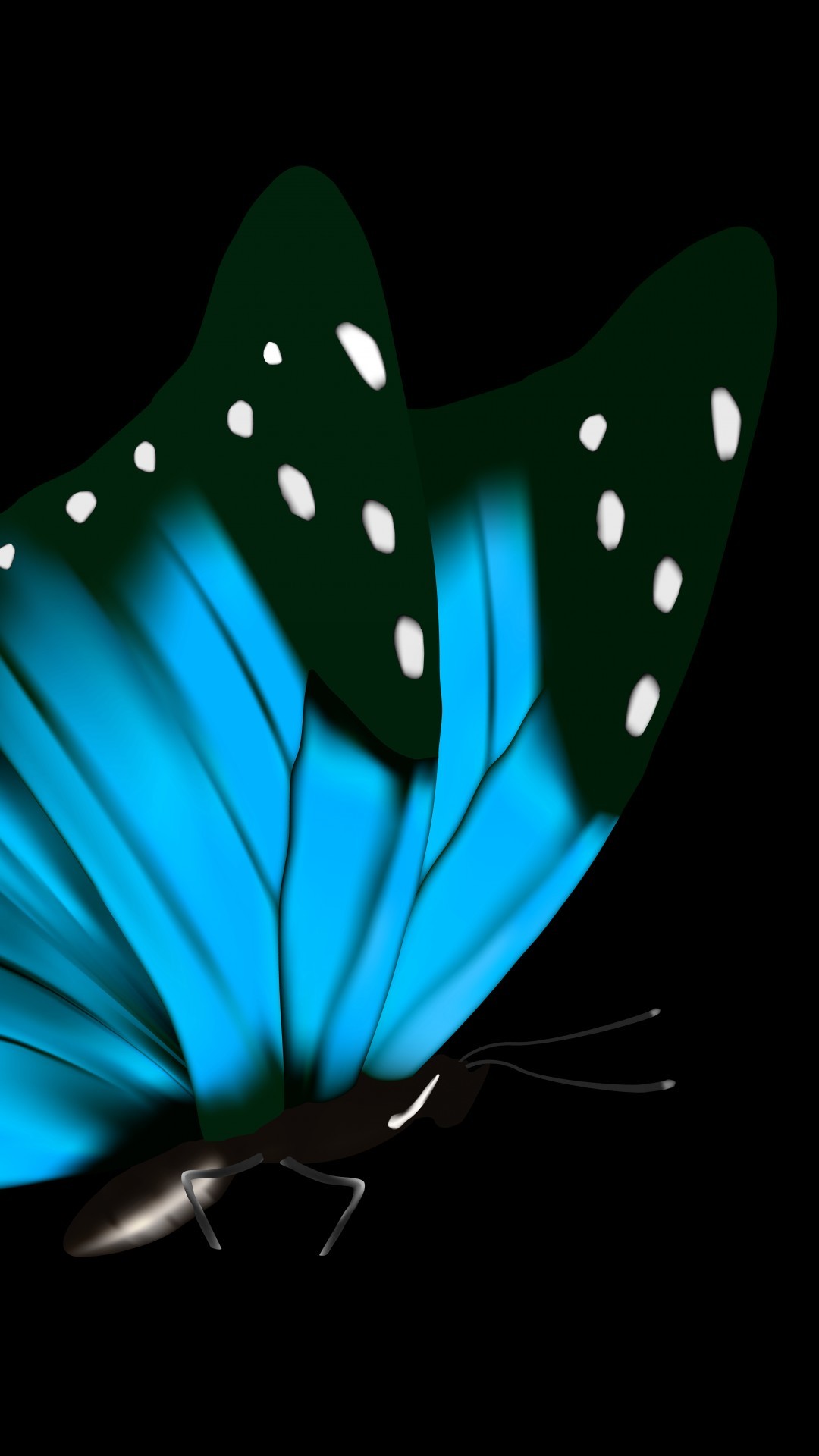 1080x1920 Download Blue ties and butterflies 2015, 3 blue butterflies wallpaper