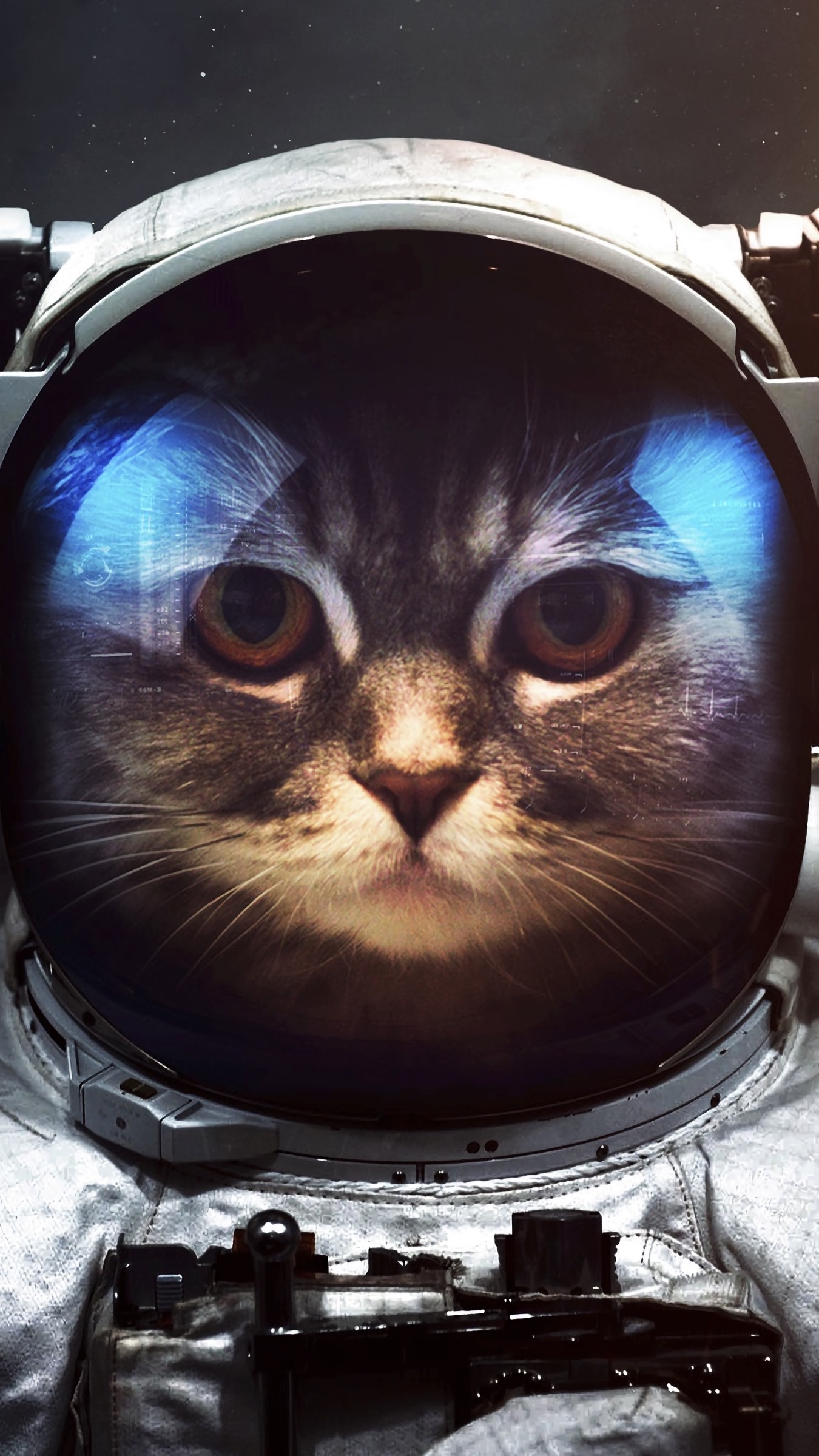 1350x2400  Wallpaper cat, cosmonaut, space suit, space