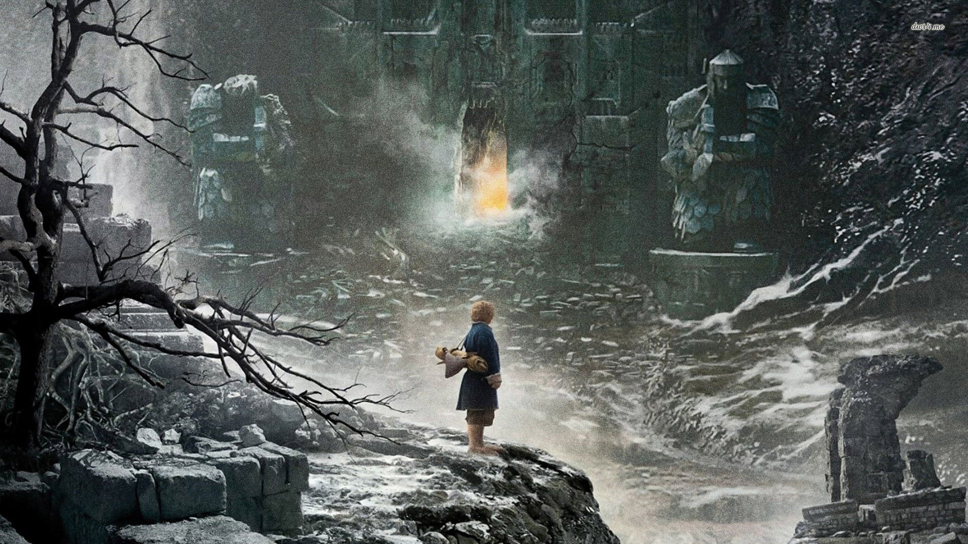 1920x1080 The Desolation Of Smaug Movie Wallpaper