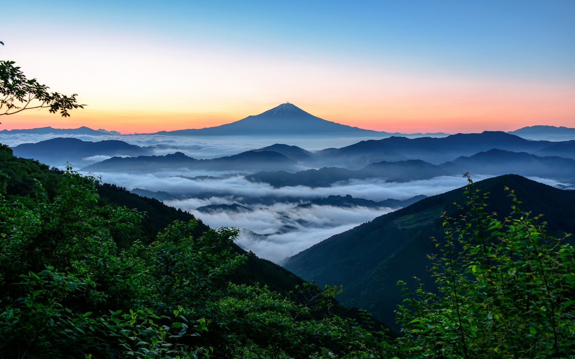 1920x1200 nature, Landscape, Mount Fuji, Japan, Sunrise, Forest, Mountain, Mist  Wallpapers HD / Desktop and Mobile Backgrounds
