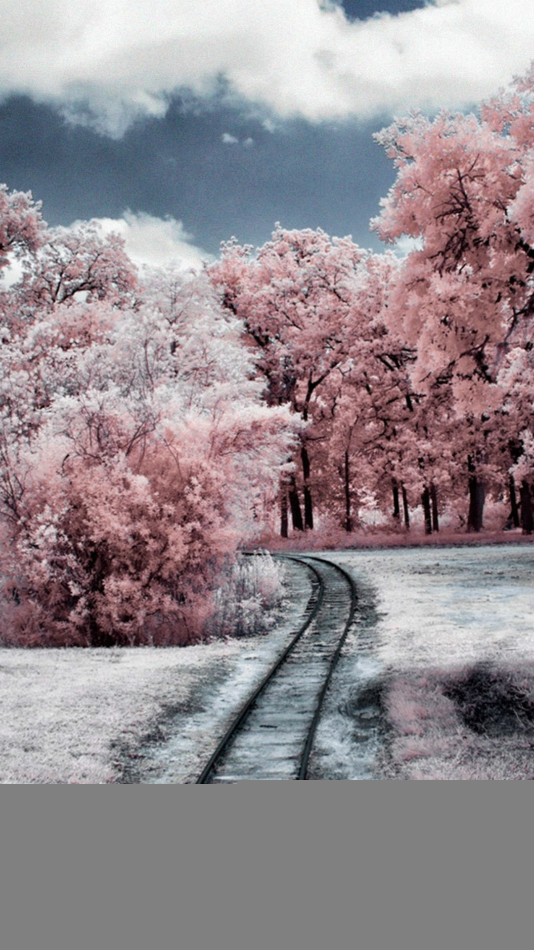 1080x1920 ... nature winter through pink woods iphone 8 wallpaper download