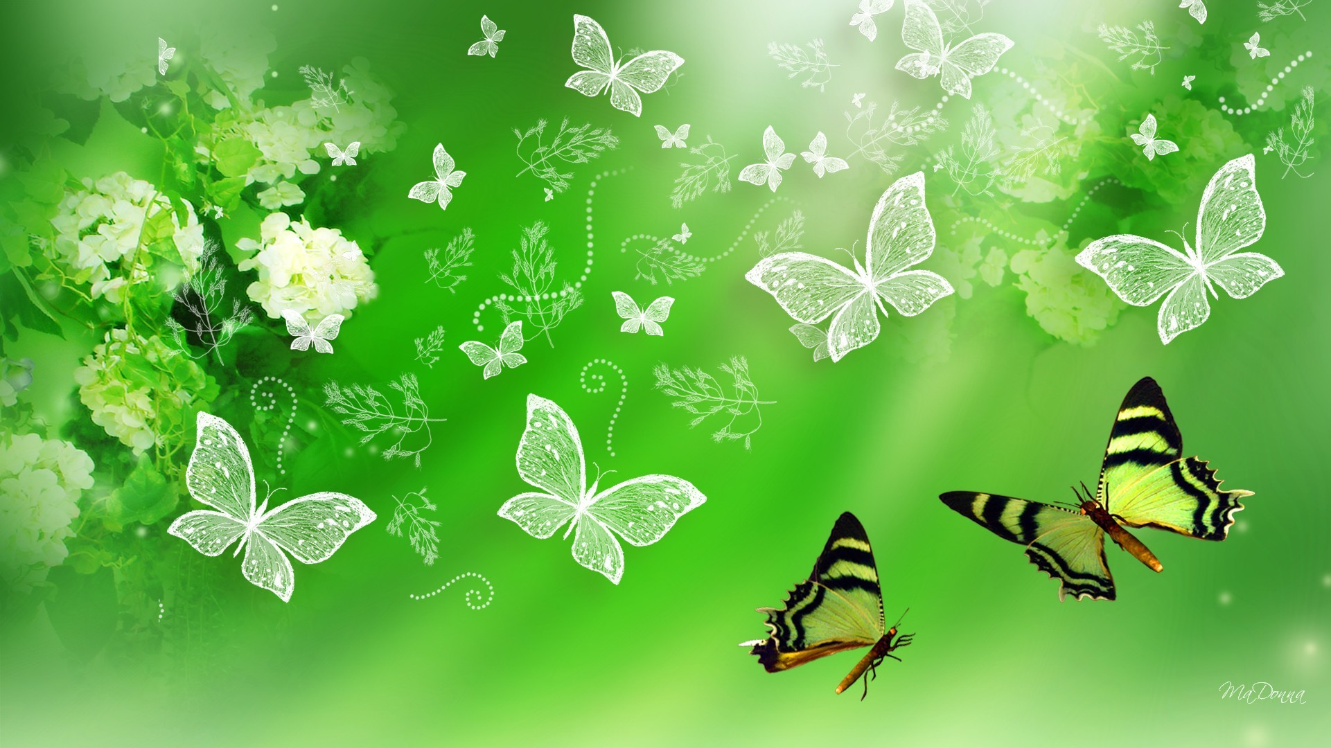 1921x1080 ZoomView Â· Green Hydrangea And Butterflies