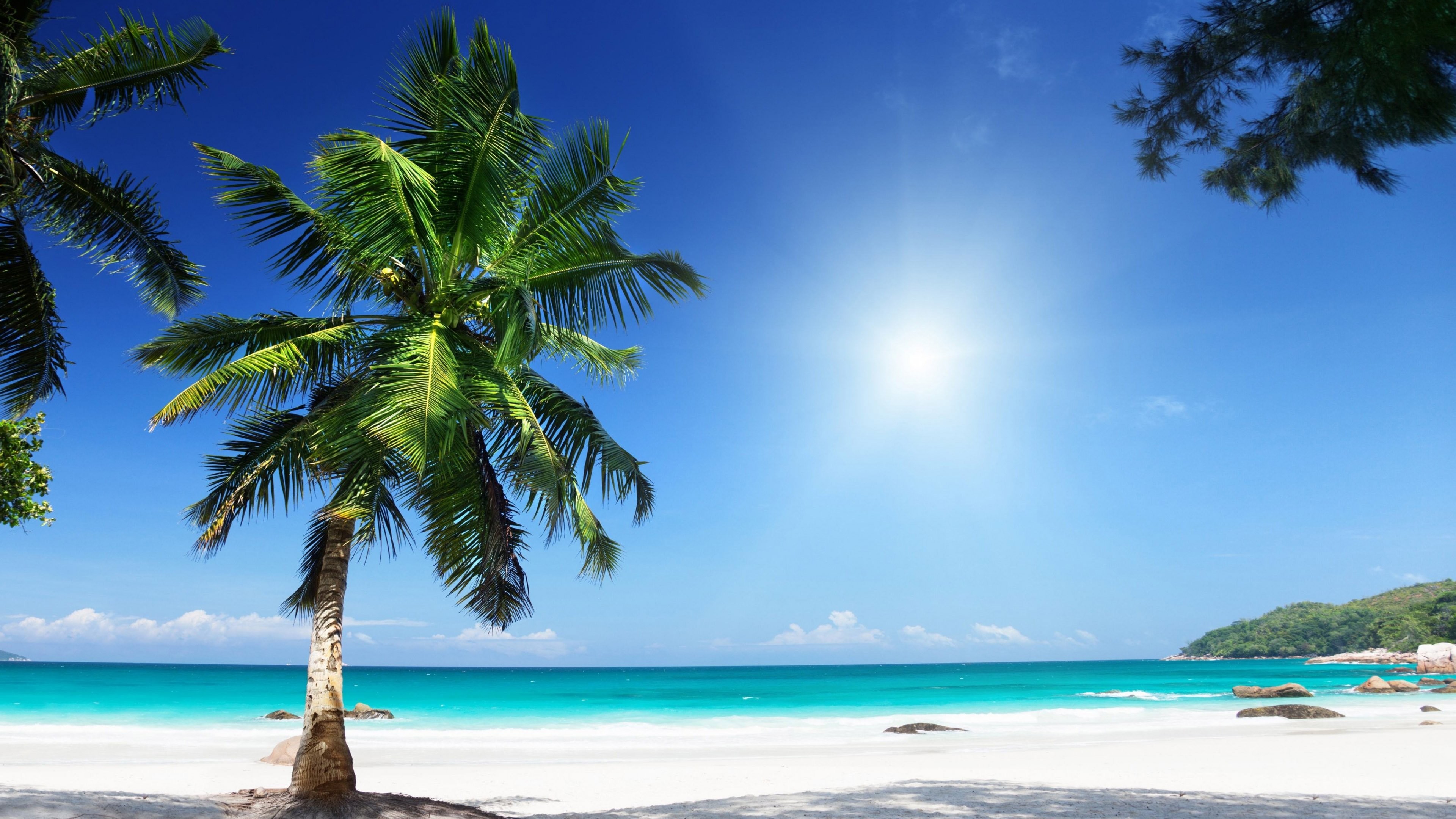 3840x2160 Beach Earth Ocean Palm Tree Tropical Â· HD Wallpaper | Background Image  ID:688427