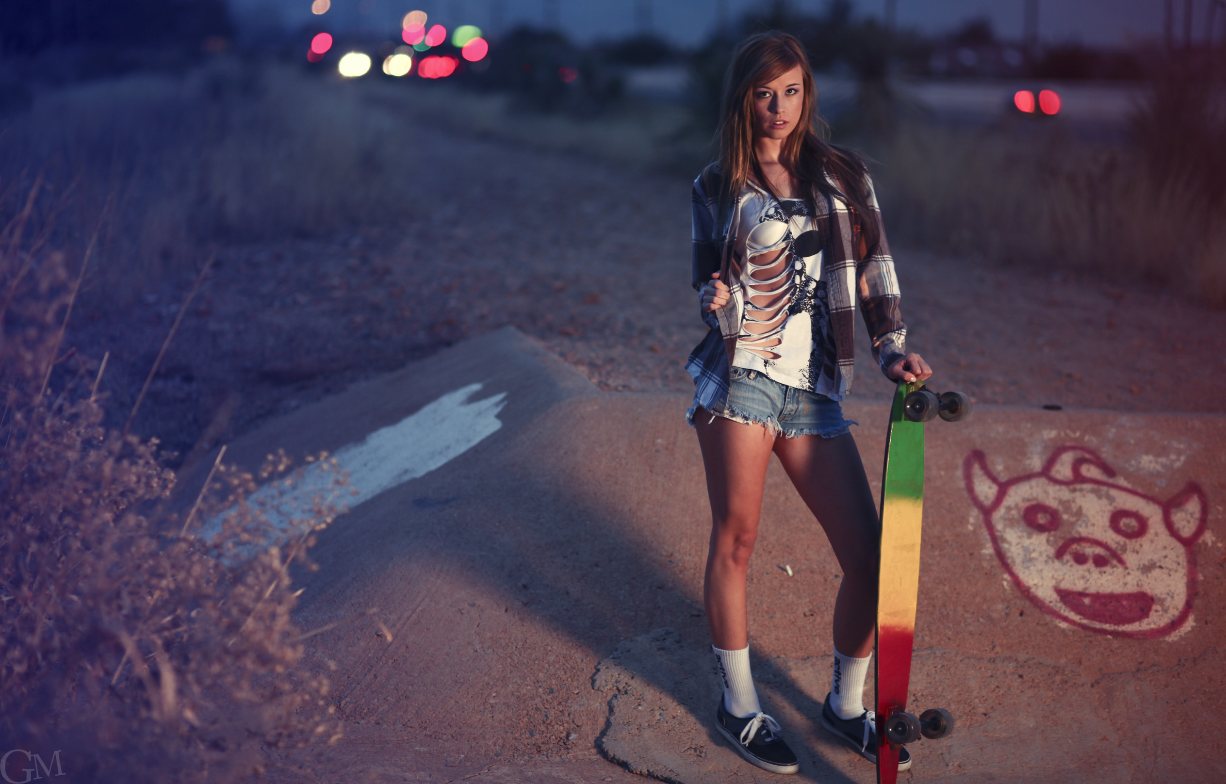 2527x1616 Skater girl wallpapers and images - wallpapers, pictures, photos