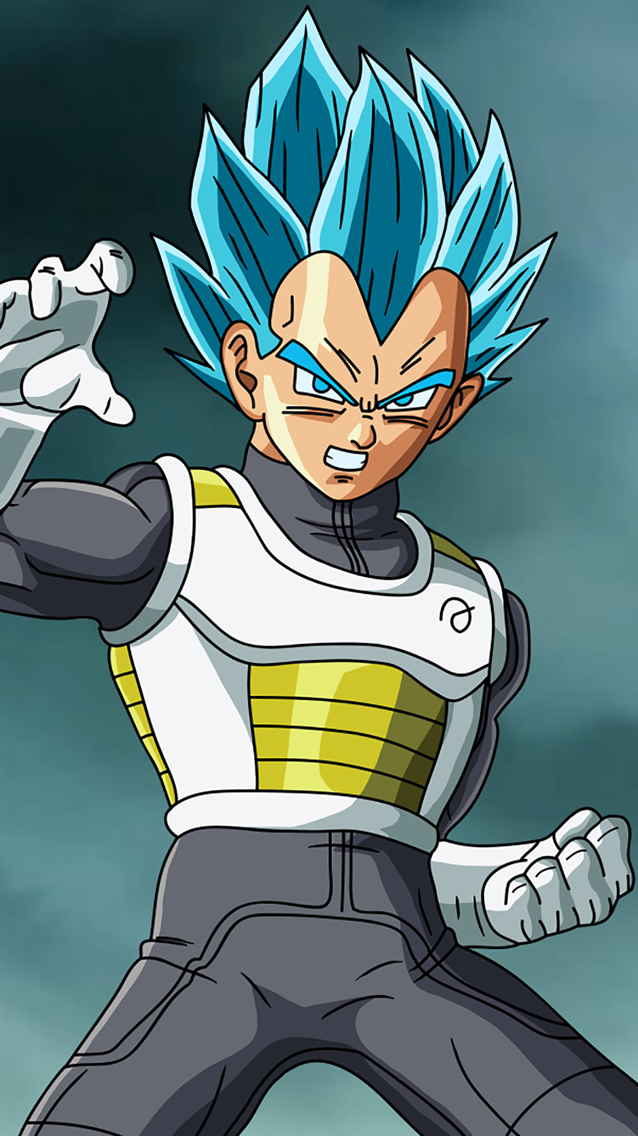 1241x2208 Special Vegeta : Standing and Mad