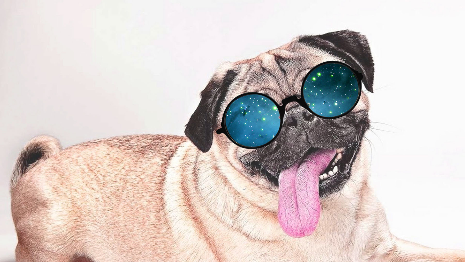 1920x1080 hd pics photos stunning attractive new funny pet animals dog pug with  sunglass galaxy nebulla hd