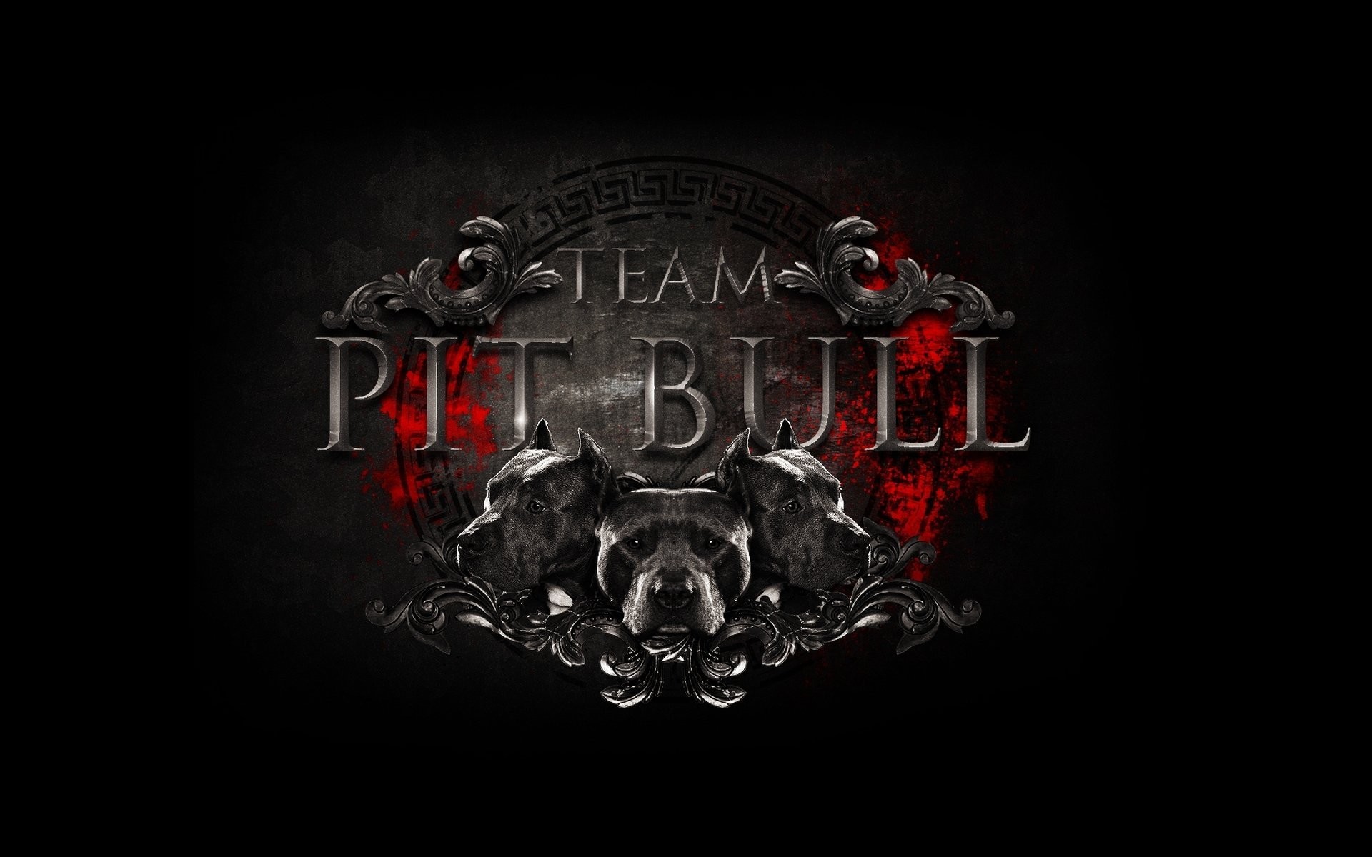 1920x1200 mma logo logo logo team pit bull team fight club mixed martial arts mixed  martial arts