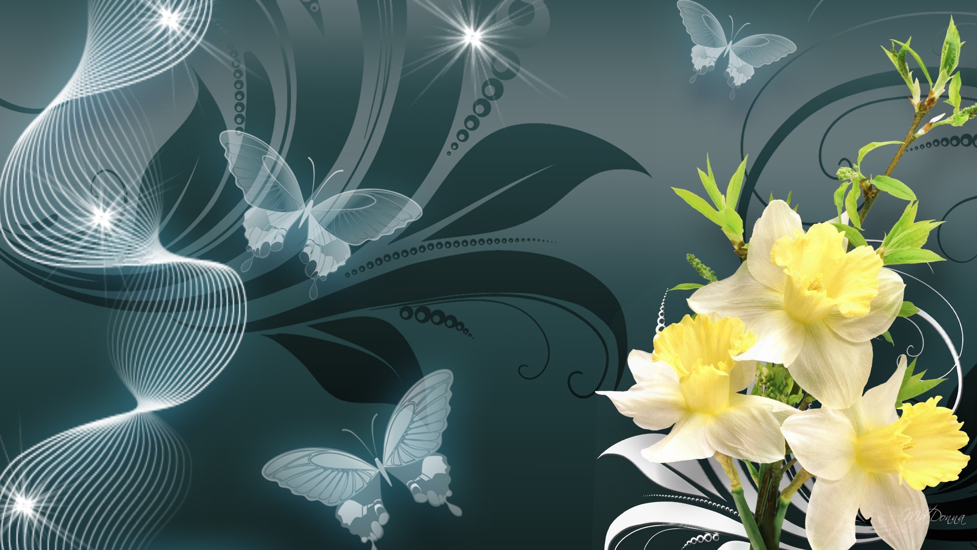 1920x1080 butterfly flowers wallpaper abstract - Google Search