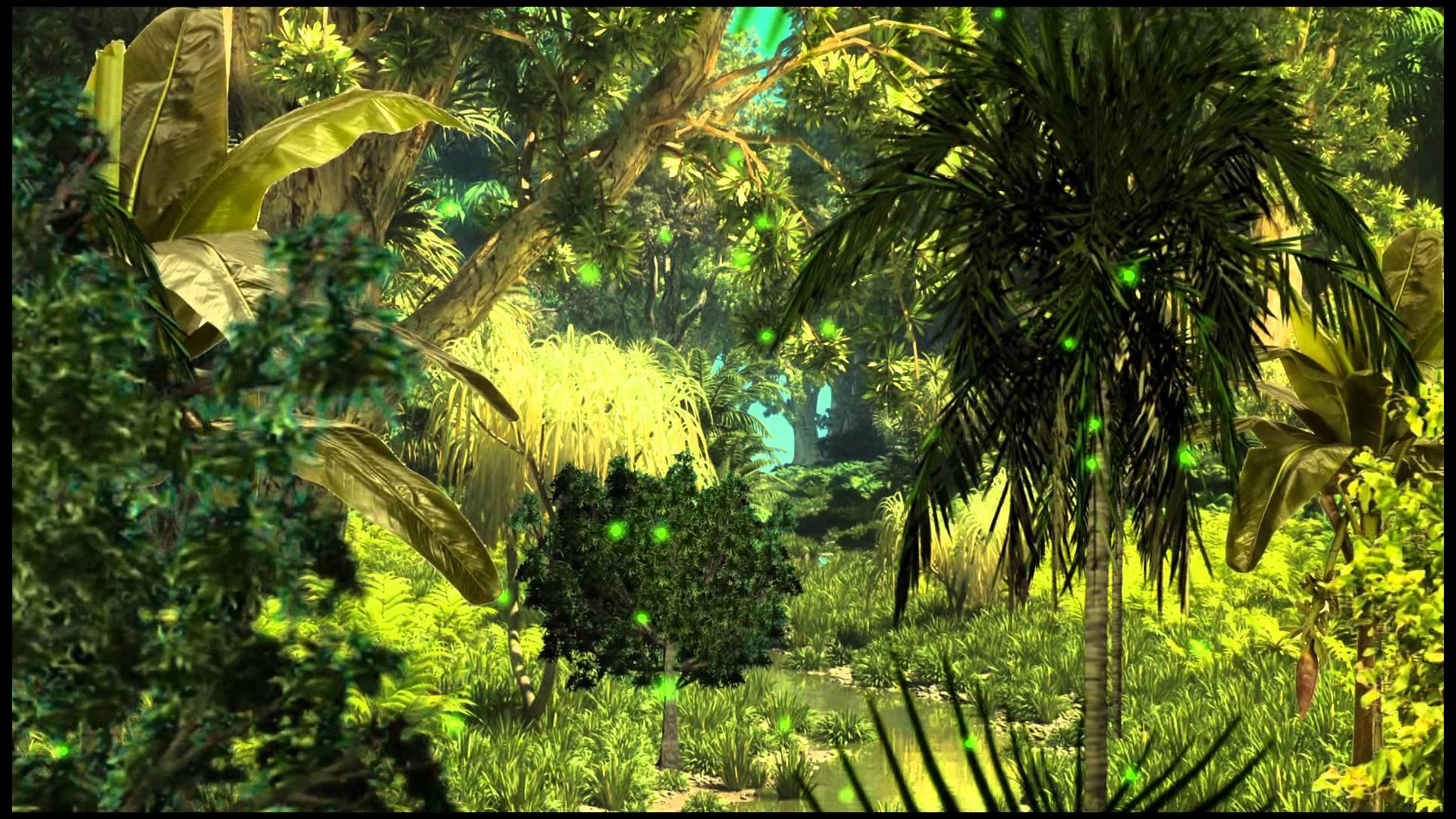 1920x1080 Background Jungle