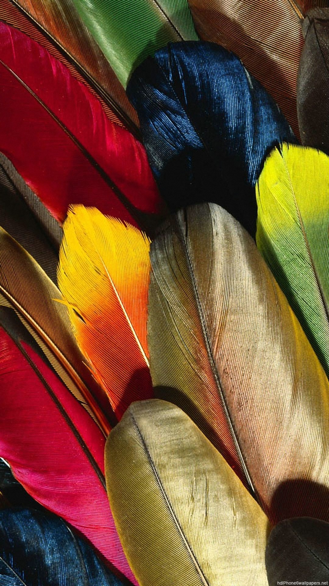 1080x1920  colorful Feather iPhone 6 wallpapers HD - 6 Plus backgrounds