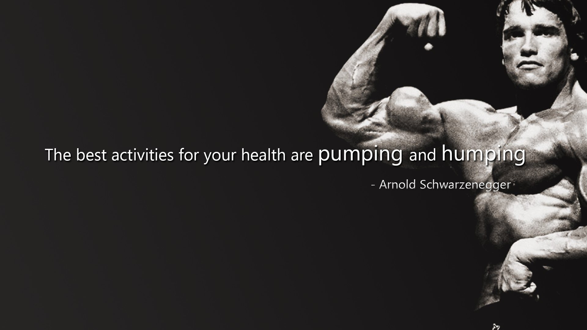 1920x1080 muscle muscles weight lifting Bodybuilding (24) wallpaper background .