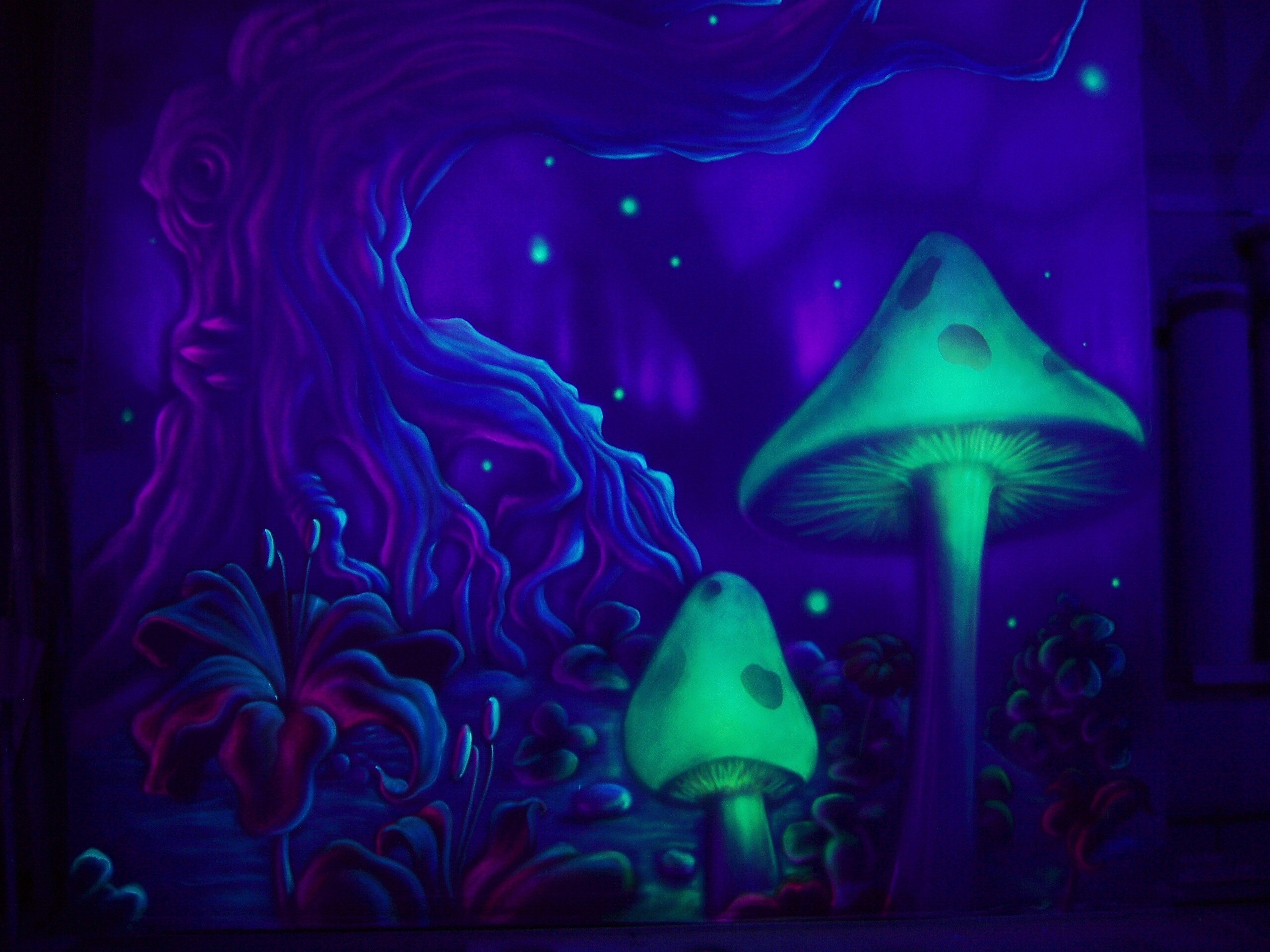 2560x1920 What Are Psilocybin Mushrooms As Mentioned Earlier, Psilocybin Is The  Active Ingredient That Is Responsible For The Altered Sense Of Reality.