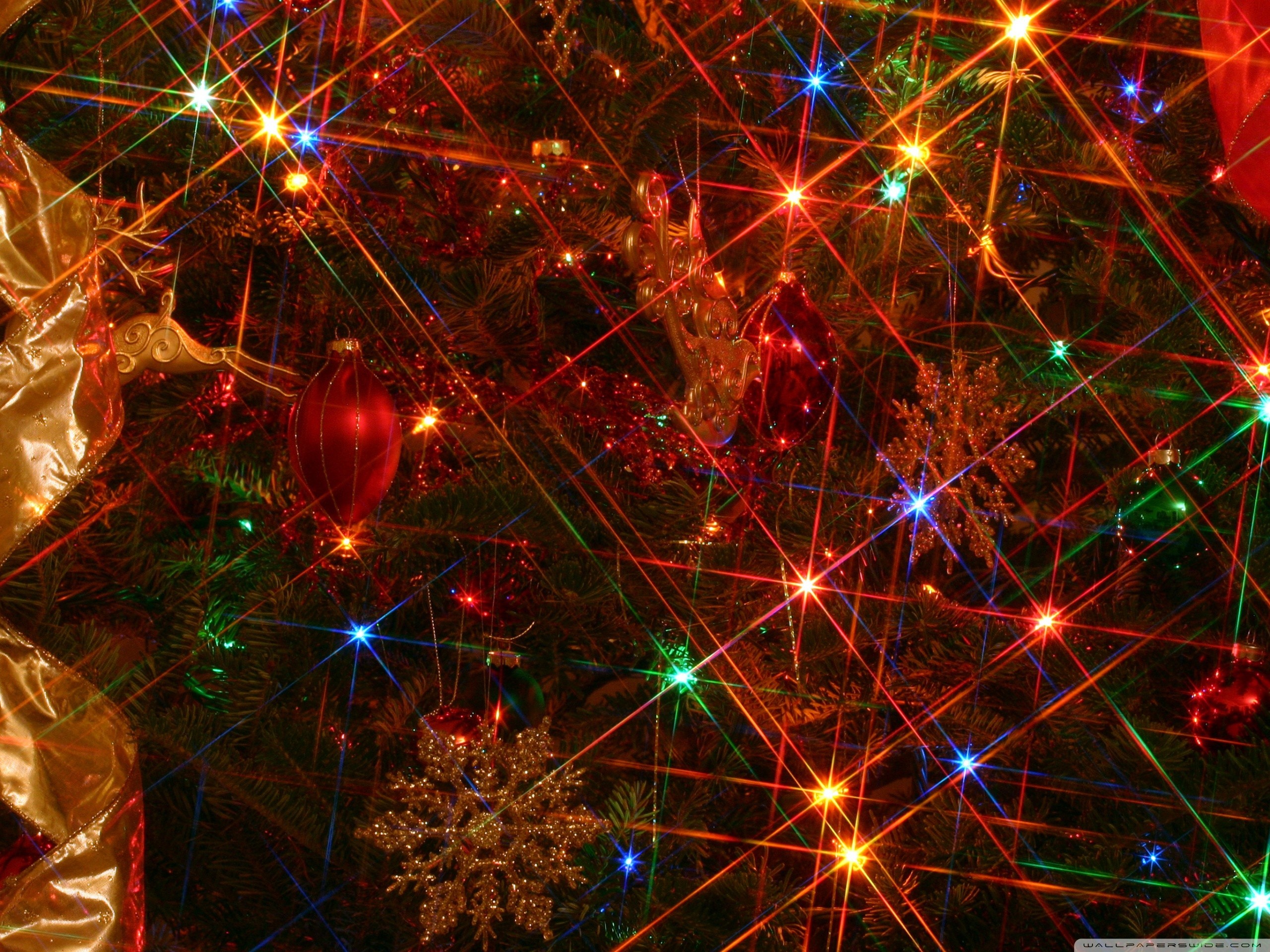 Blinking Christmas Lights Wallpaper (59+ images)