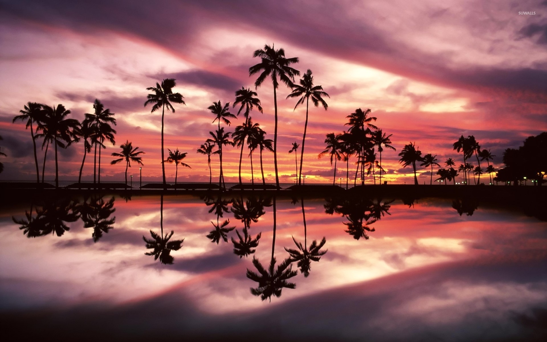 1920x1200 Beautiful sunset sky behind the palm trees by the ocean wallpaper