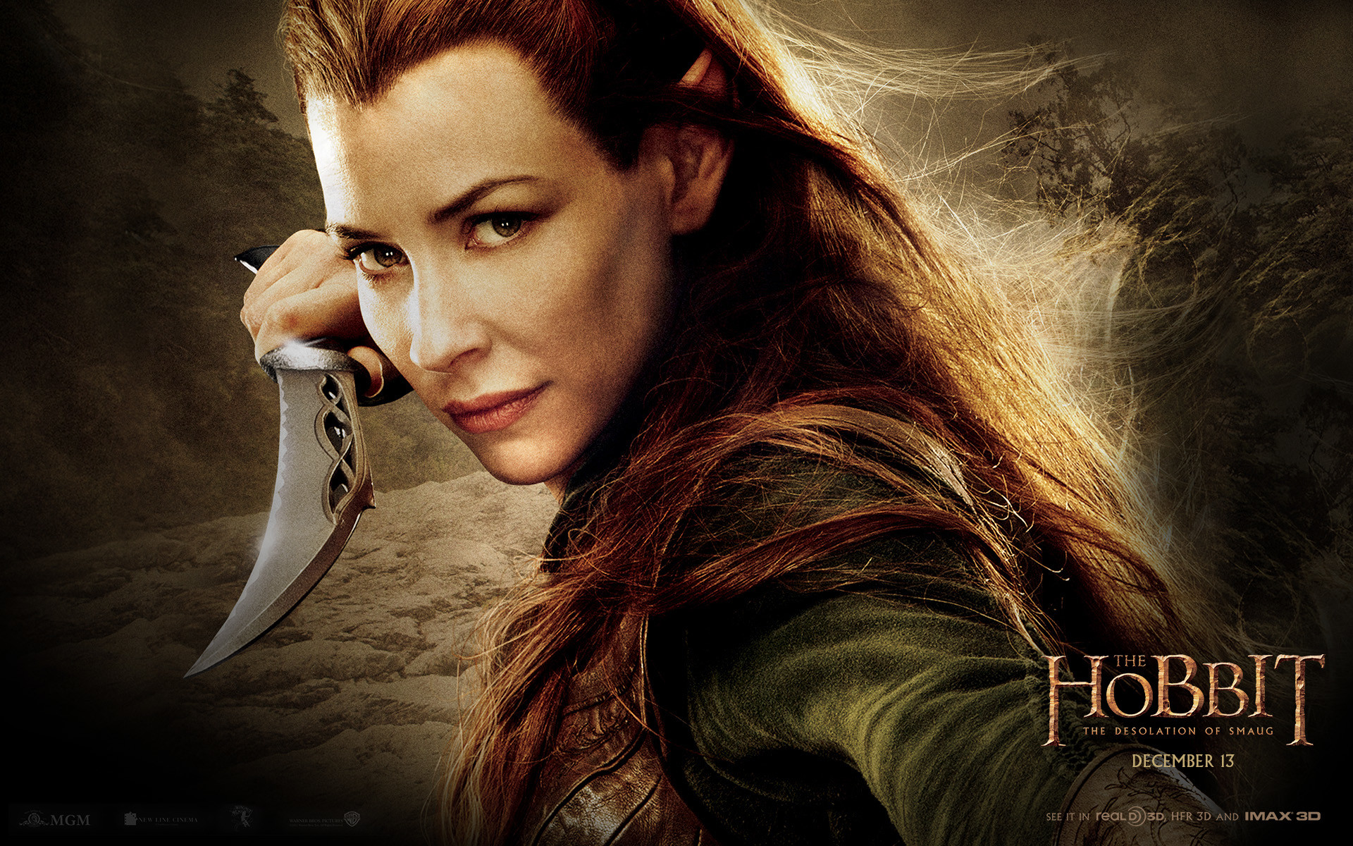 1920x1200 Movie - The Hobbit: The Desolation of Smaug Wallpaper