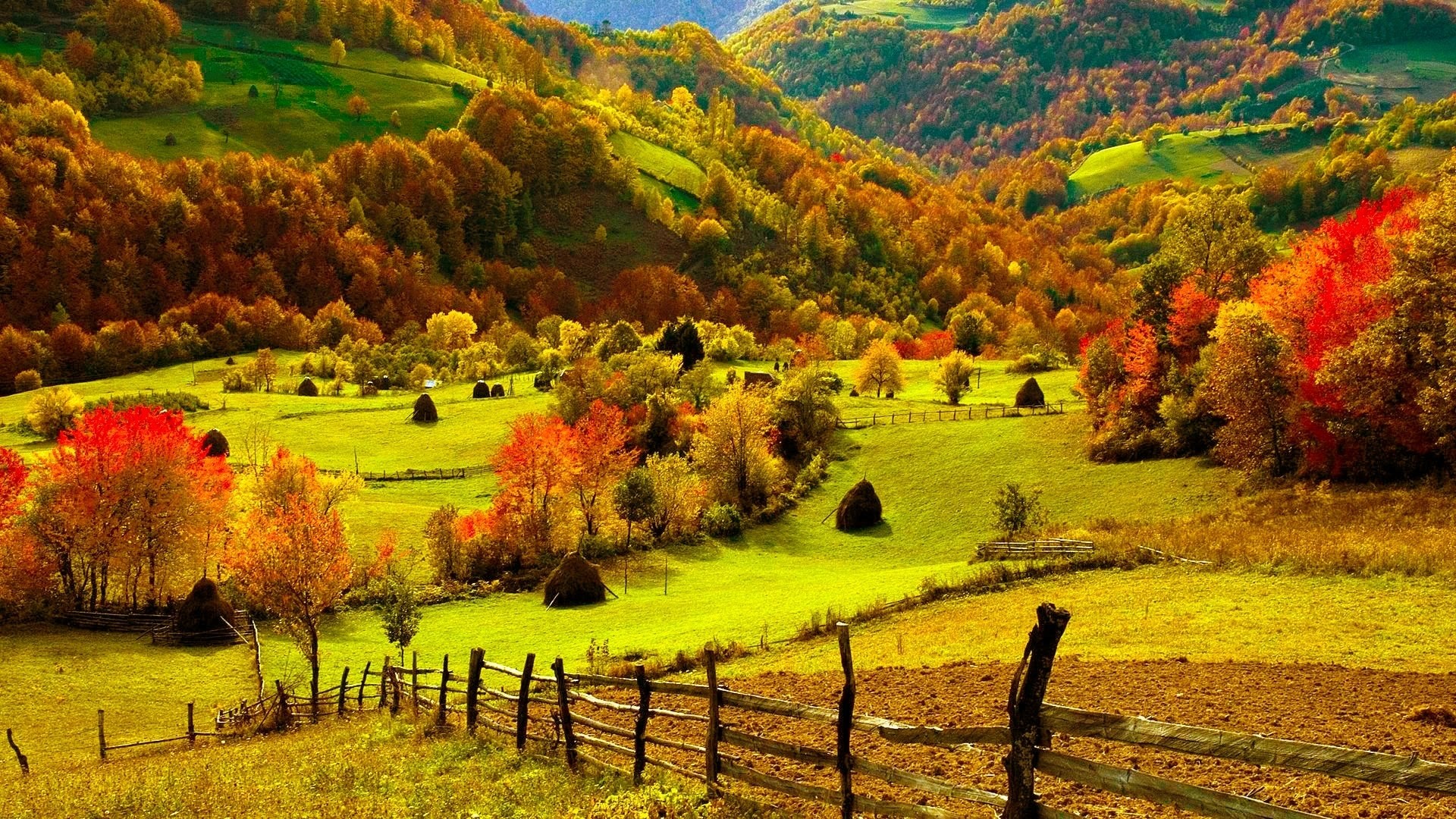 1920x1080 nature landscapes fields hills fence grass farm trees forests autumn .
