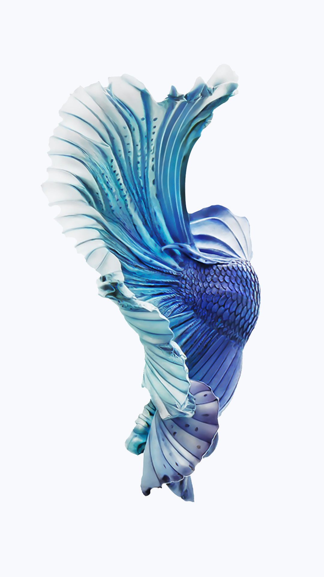 1080x1921 iPhone-6s-Silver-Blue-Fish-Wallpaper.png (1080Ã