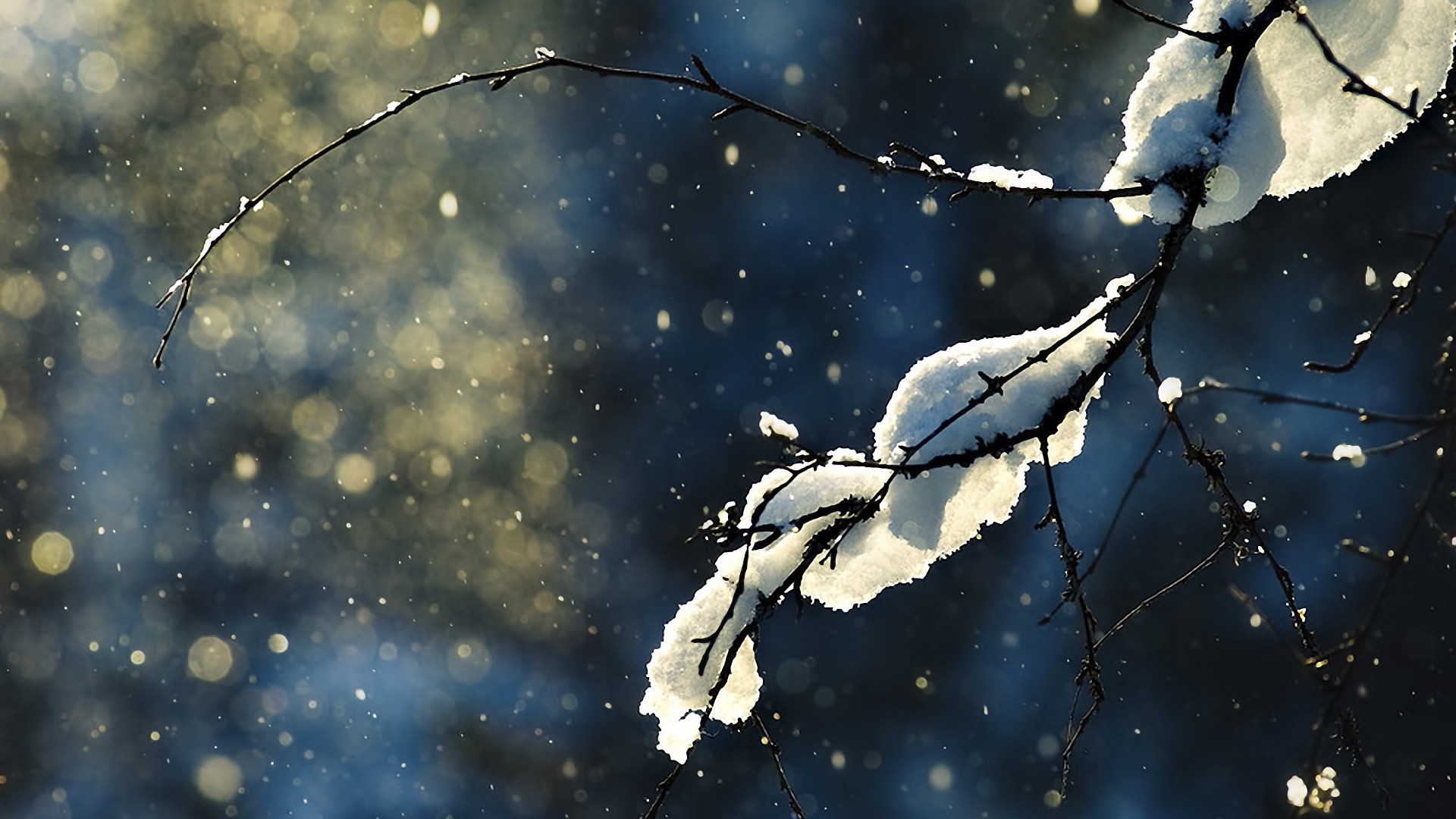 1920x1080 ... Background Full HD 1080p.  Wallpaper branch, naked, snow,  winter