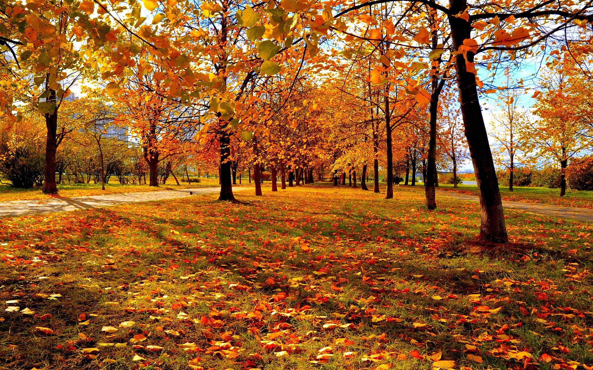 1920x1200 autumn hd wallpapers 1080p high quality