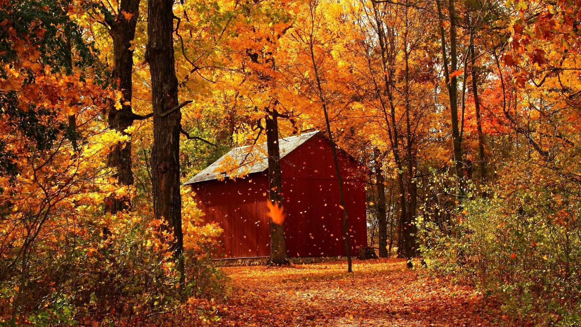 1920x1080  Wallpaper leaf fall, autumn, garage, wood, trees, october