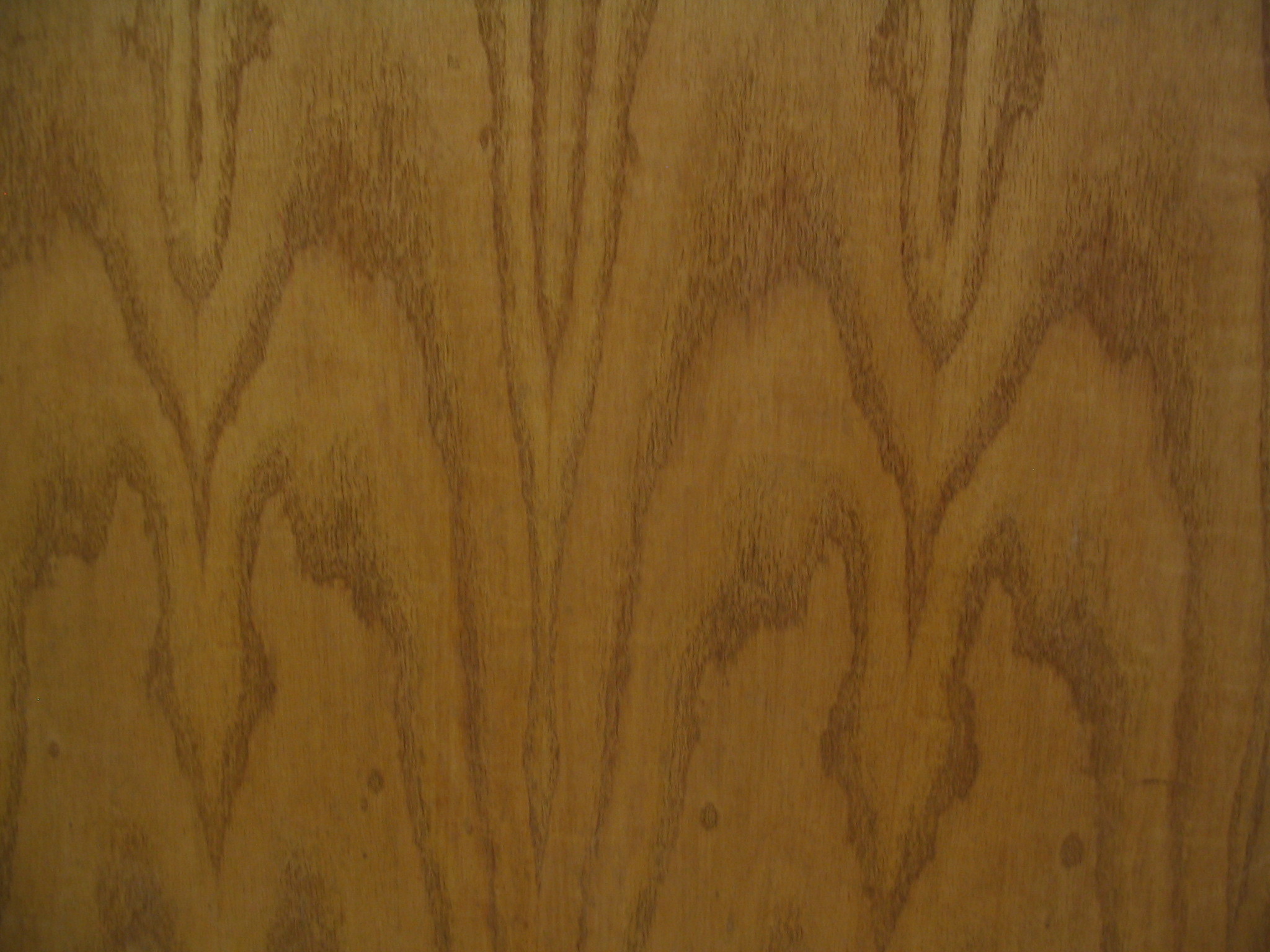 Oak Wood Grain Wallpaper (41+ images)