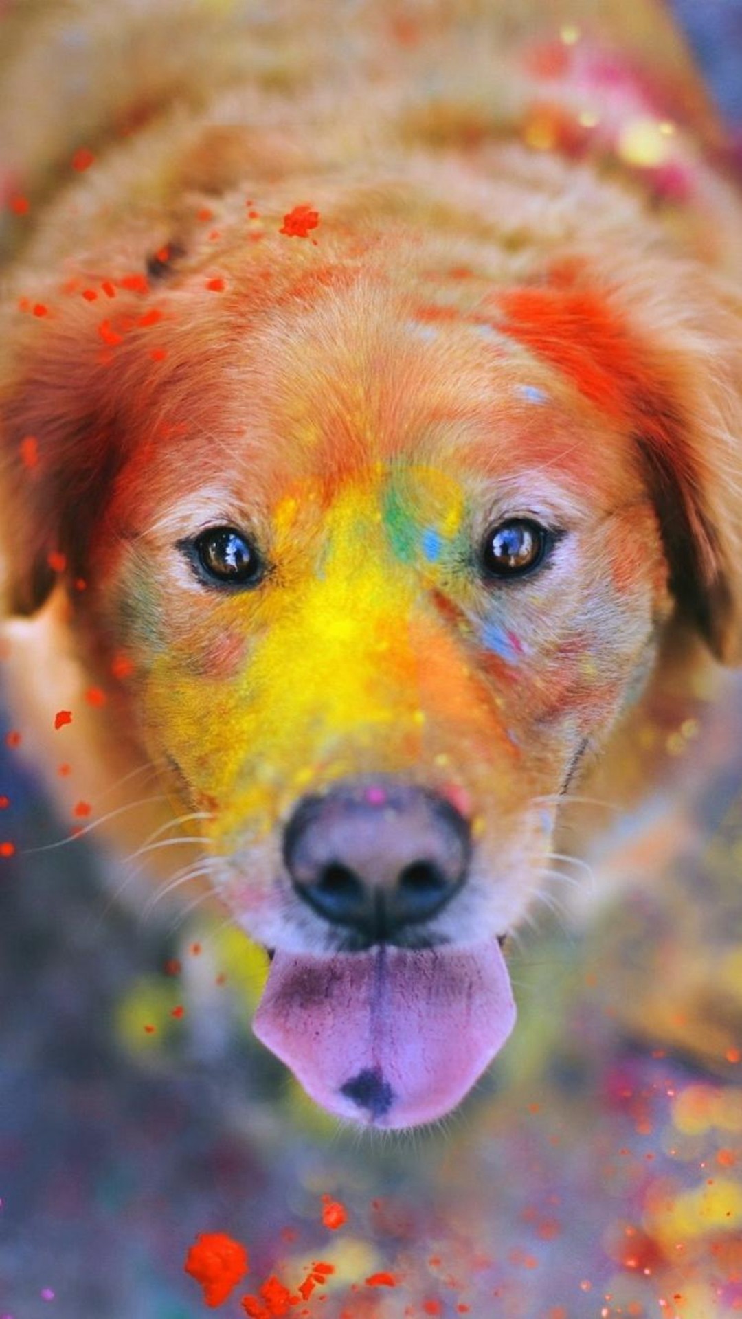 1080x1920 Colorful Paint Giant Dog Animal iPhone 6 wallpaper