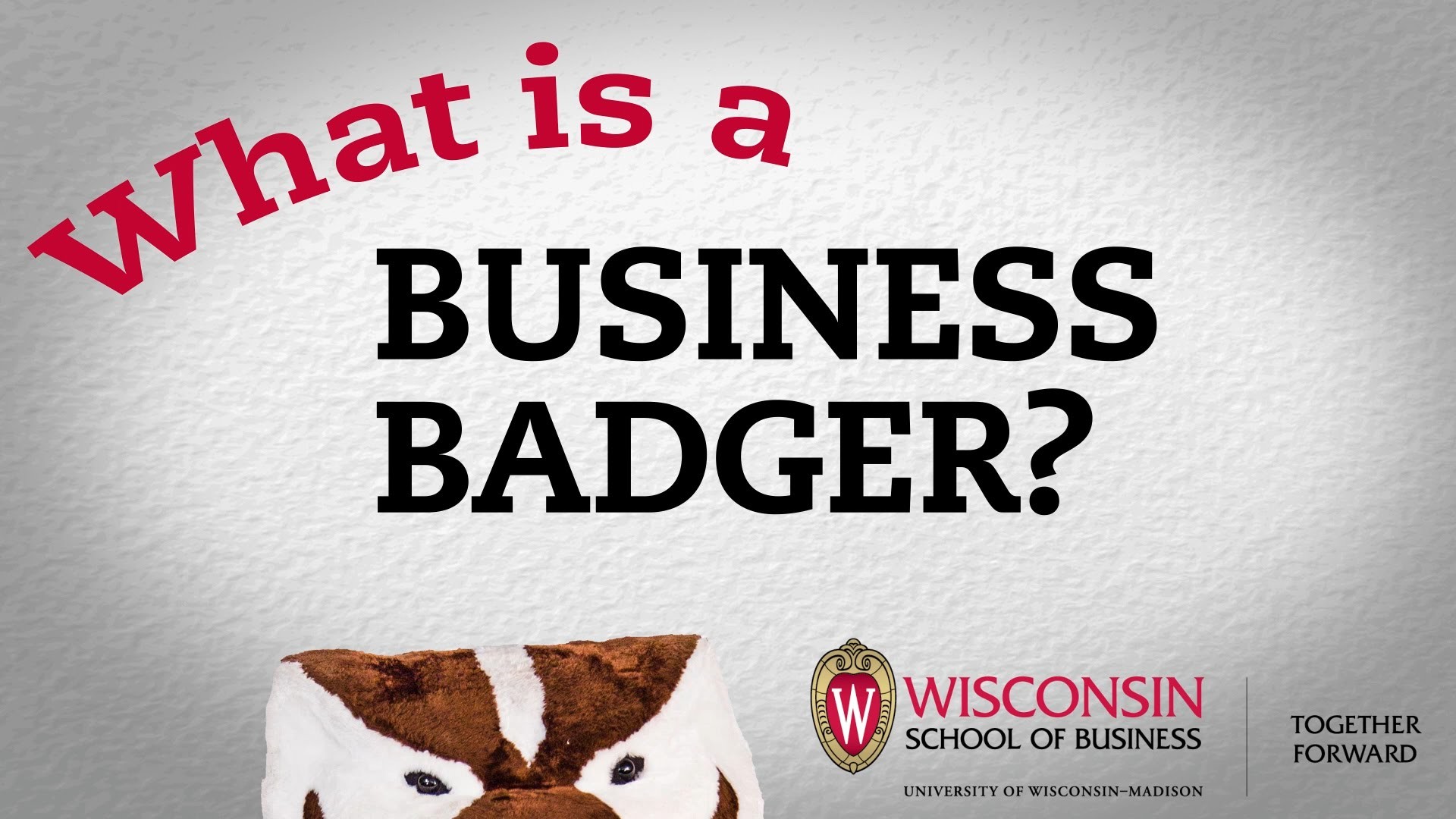 1920x1080 What is a Business Badger?