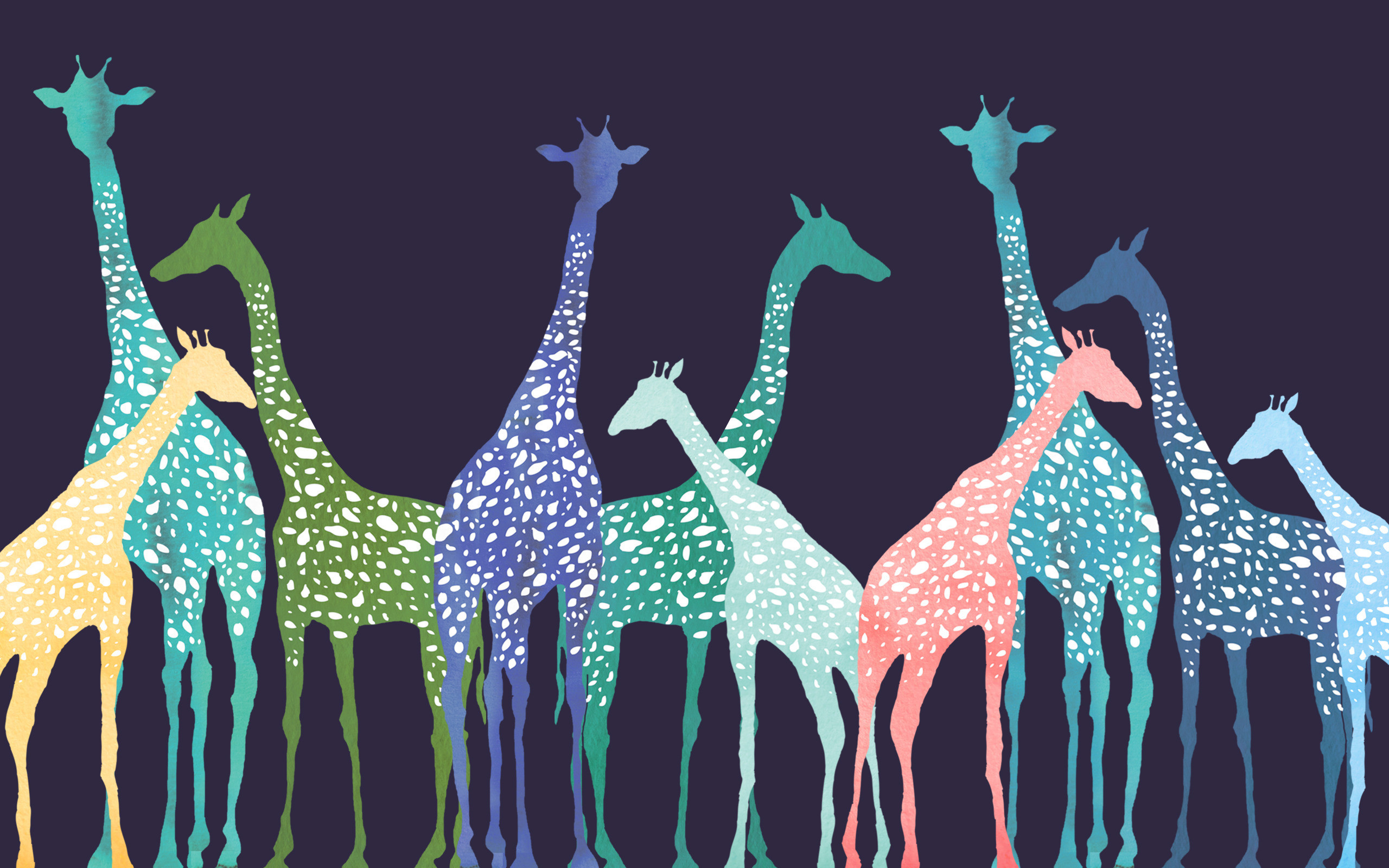 2560x1600 Simple Giraffes Wallpaper