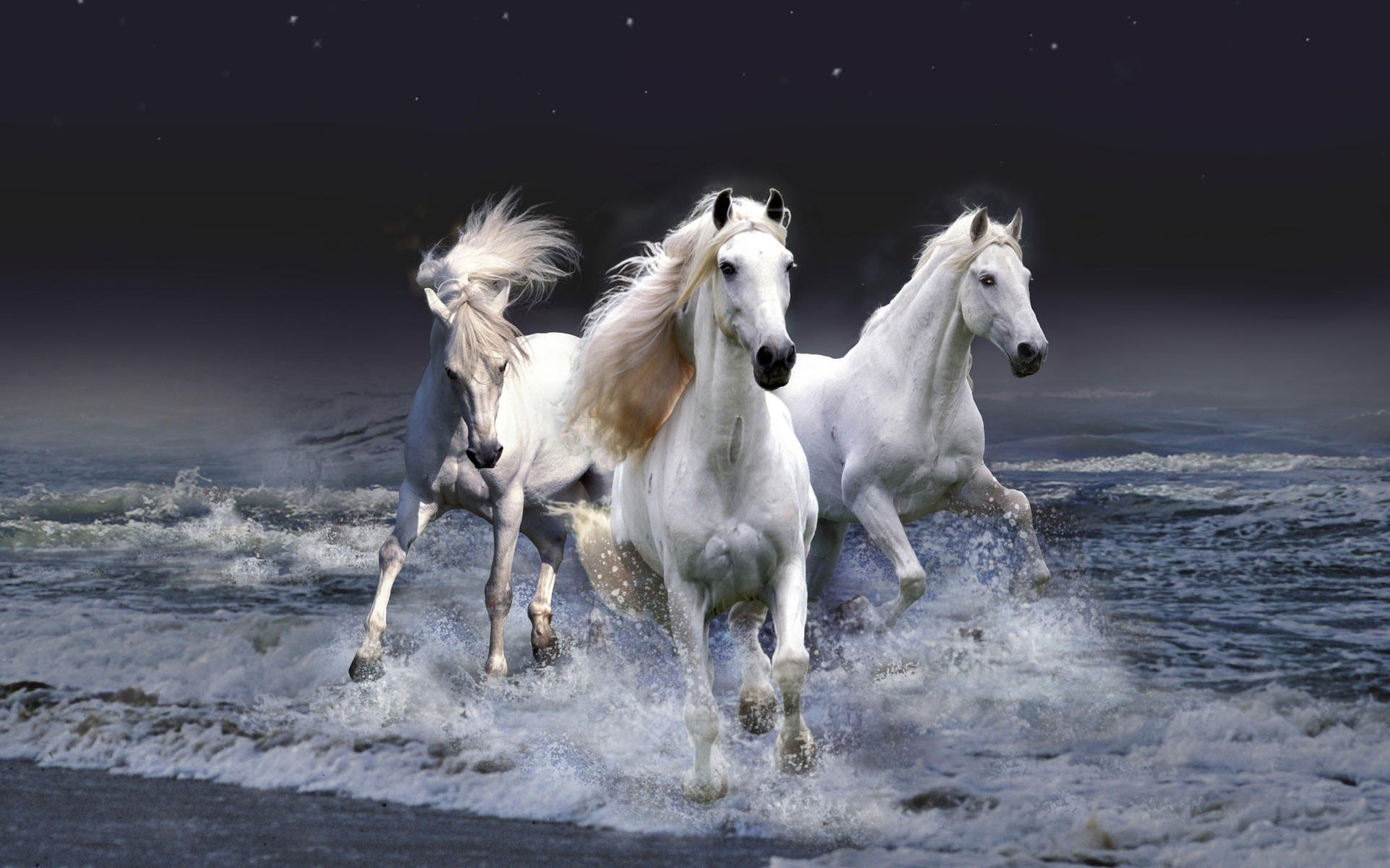 1920x1200 Mystic Horses