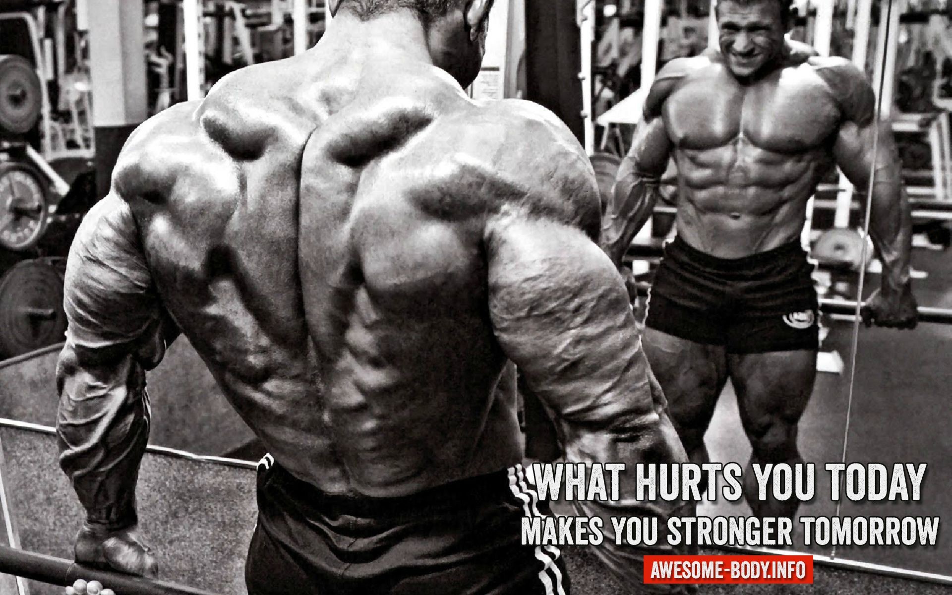1920x1200 Massive Back Muscles | Bodybuilding Quote Wallpaper