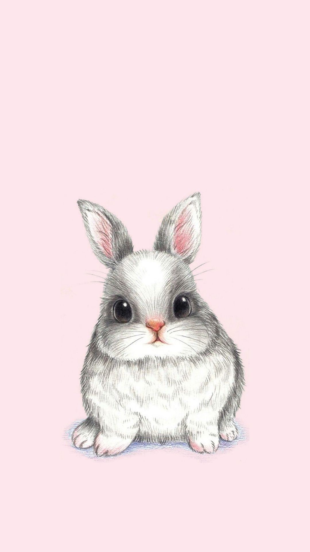 1080x1920 Bunny rabbit phone wallpaper