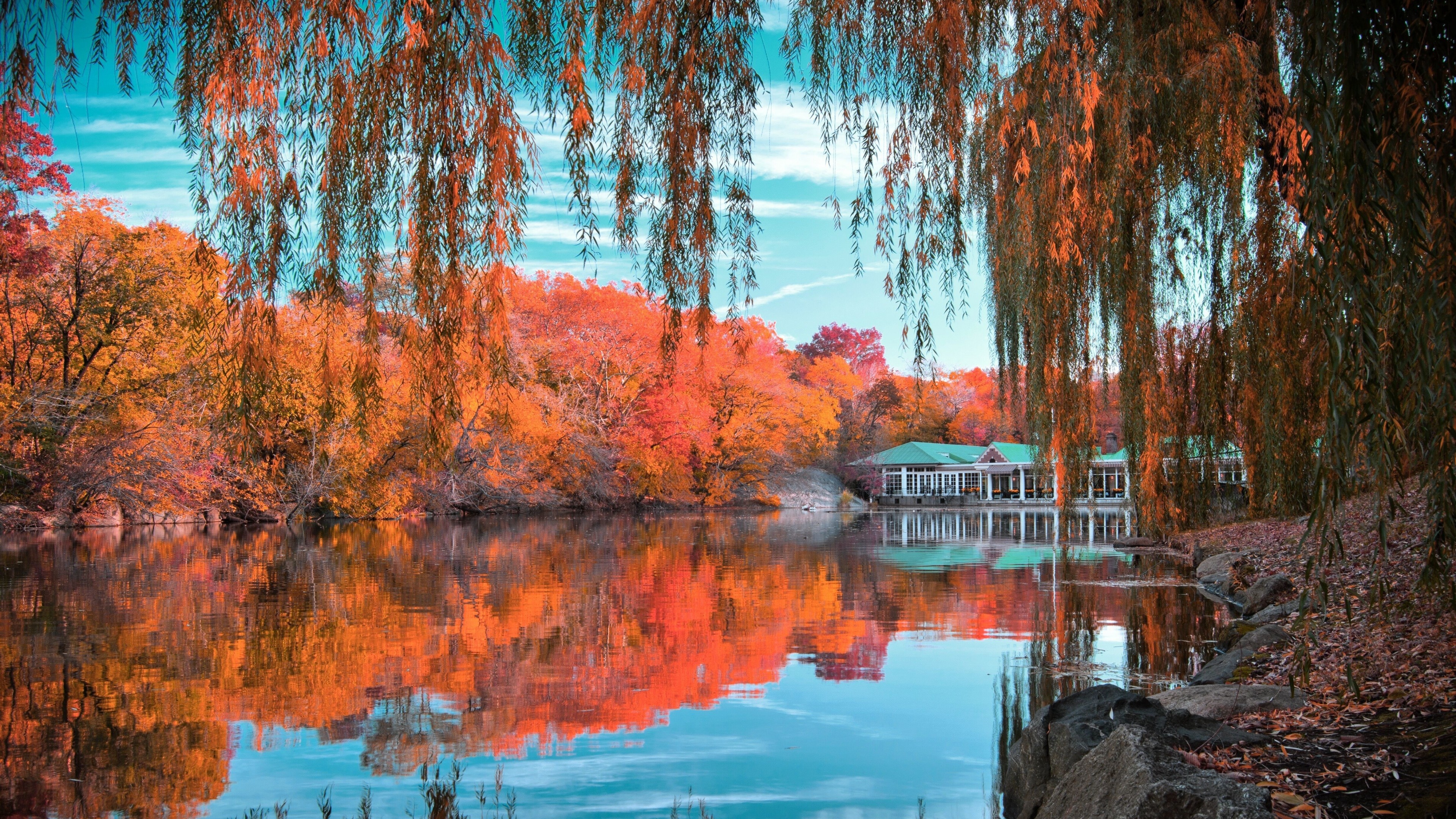 3840x2160 Menschengemacht - Central Park Spiegelung Herbst Foliage Baum Pond Wallpaper