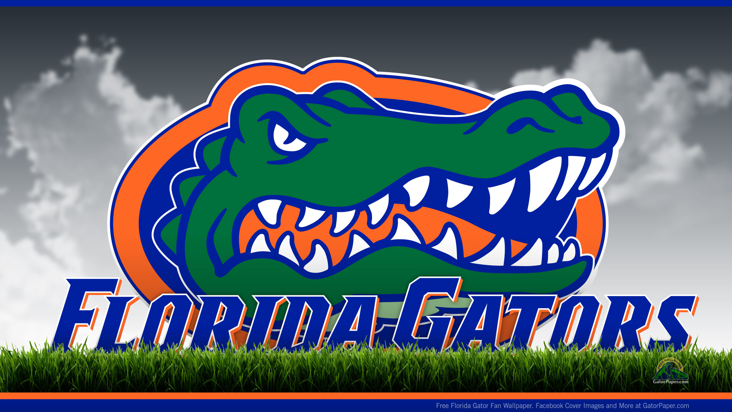 2560x1440 Florida Gators - Field View | GatorPaper - Free Sports Desktop .