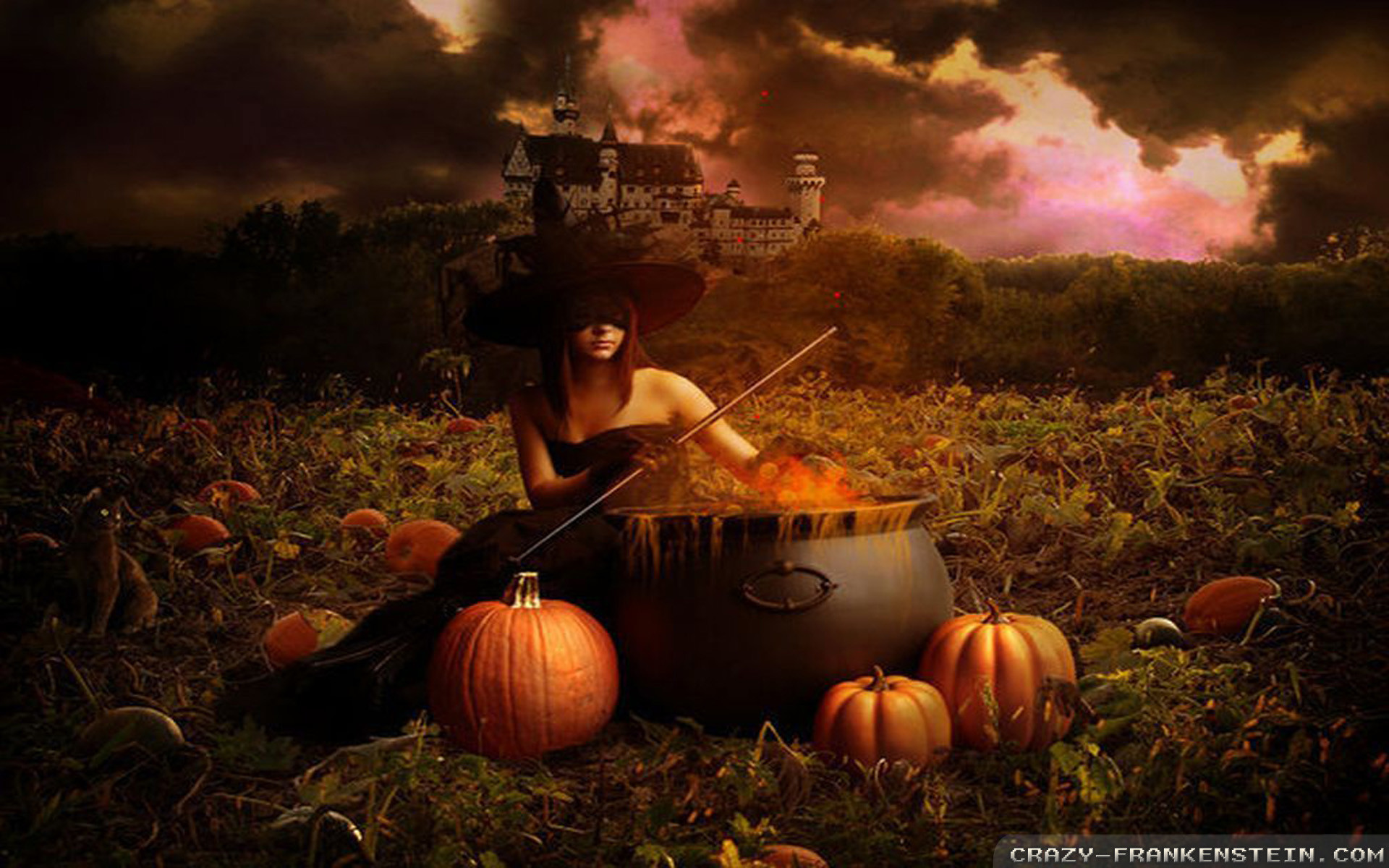 Halloween Witch HD Desktop Wallpapers 34293 - Baltana