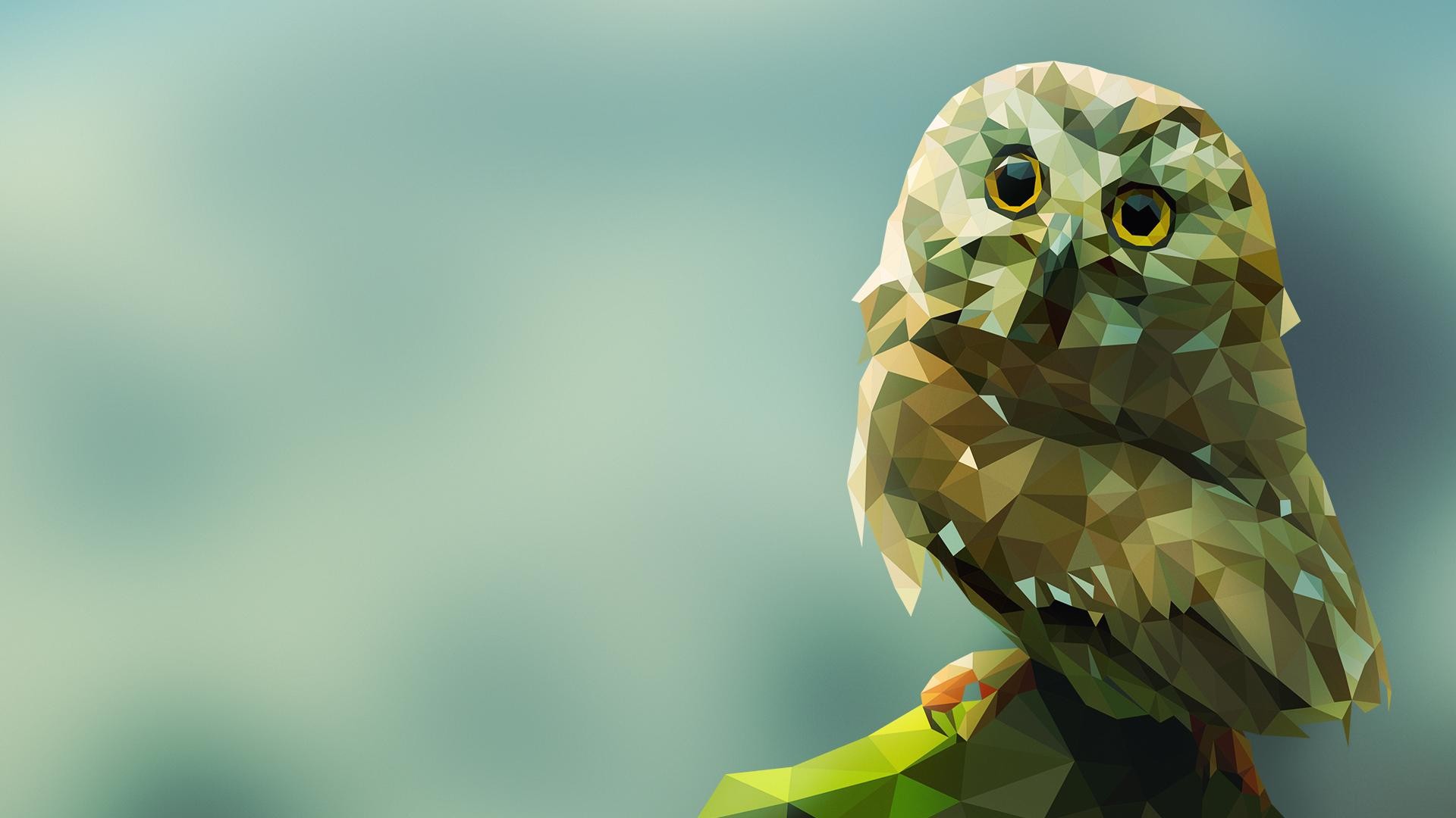 1920x1080 owl wallpaper and image