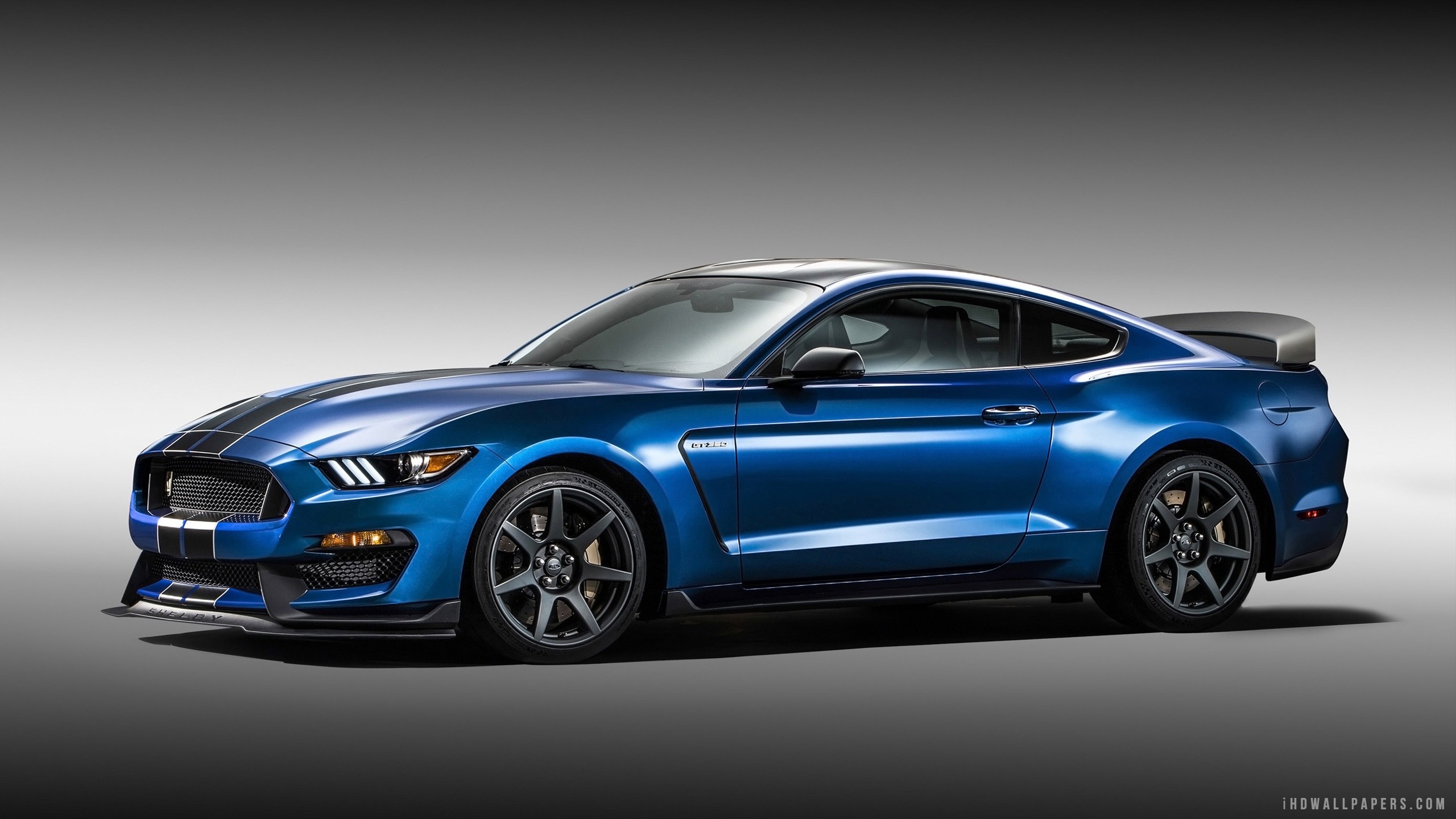 2560x1440 2016 Ford Mustang Shelby GT350 HD Wallpaper iHD Wallpapers 