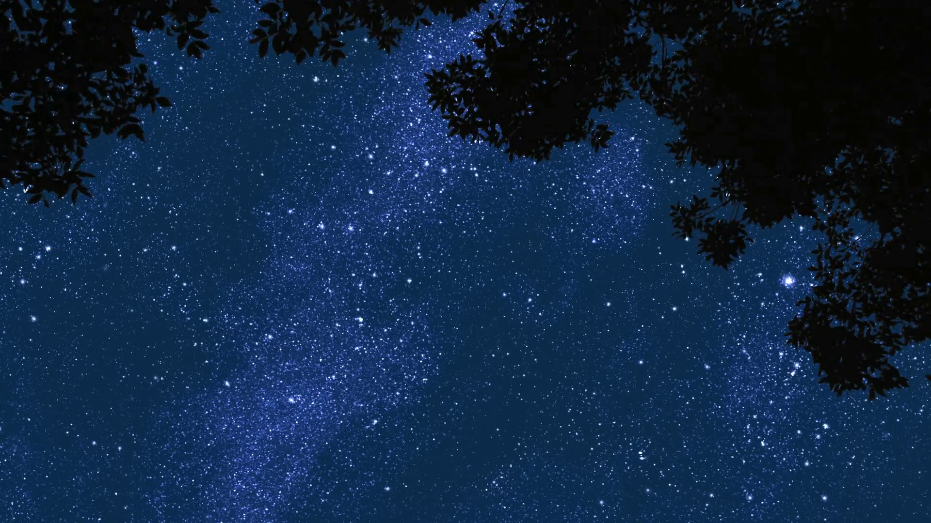 1920x1080 Time lapse of stars moving across the sky in front of tree branches blowing  in the wind (animated stars with real tree footage) Motion Background - ...
