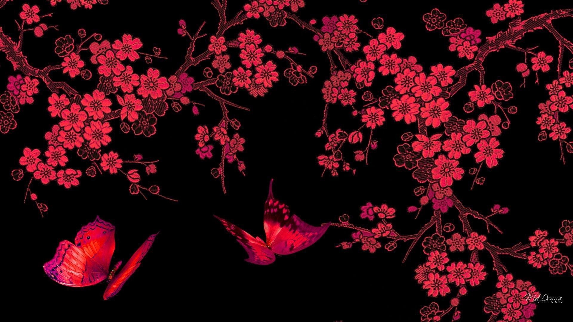 1920x1080  red butterfly hd black background