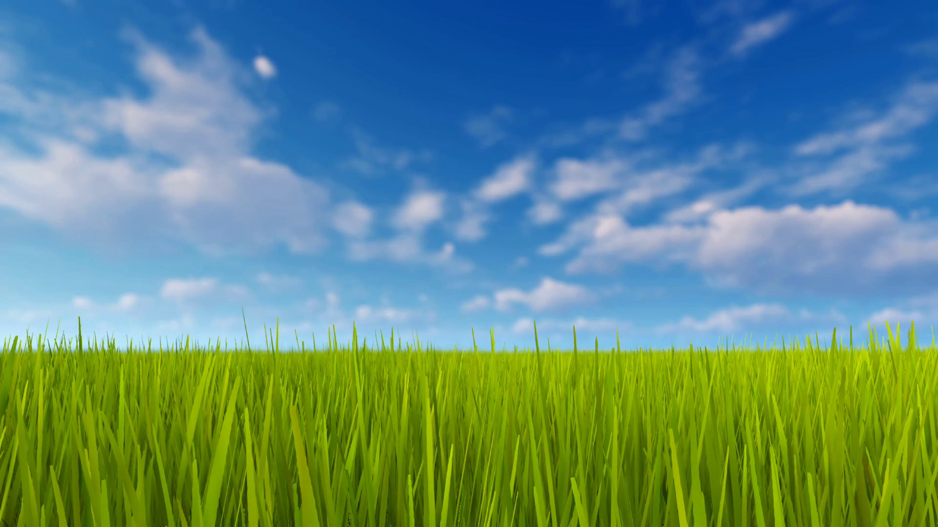 1920x1080 Simple natural background with closeup of fresh green grass field and blue  sky with blurred clouds