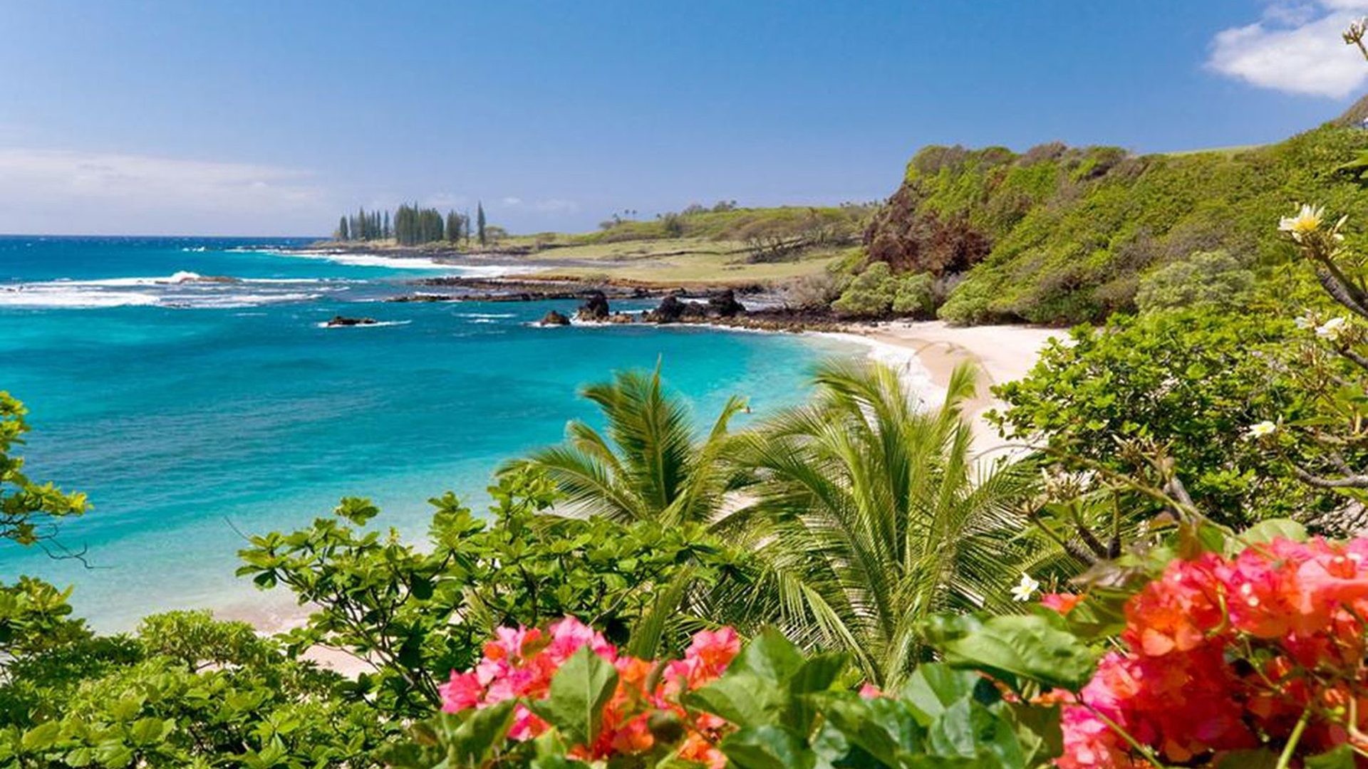 Hawaii Desktop Backgrounds 64 pictures