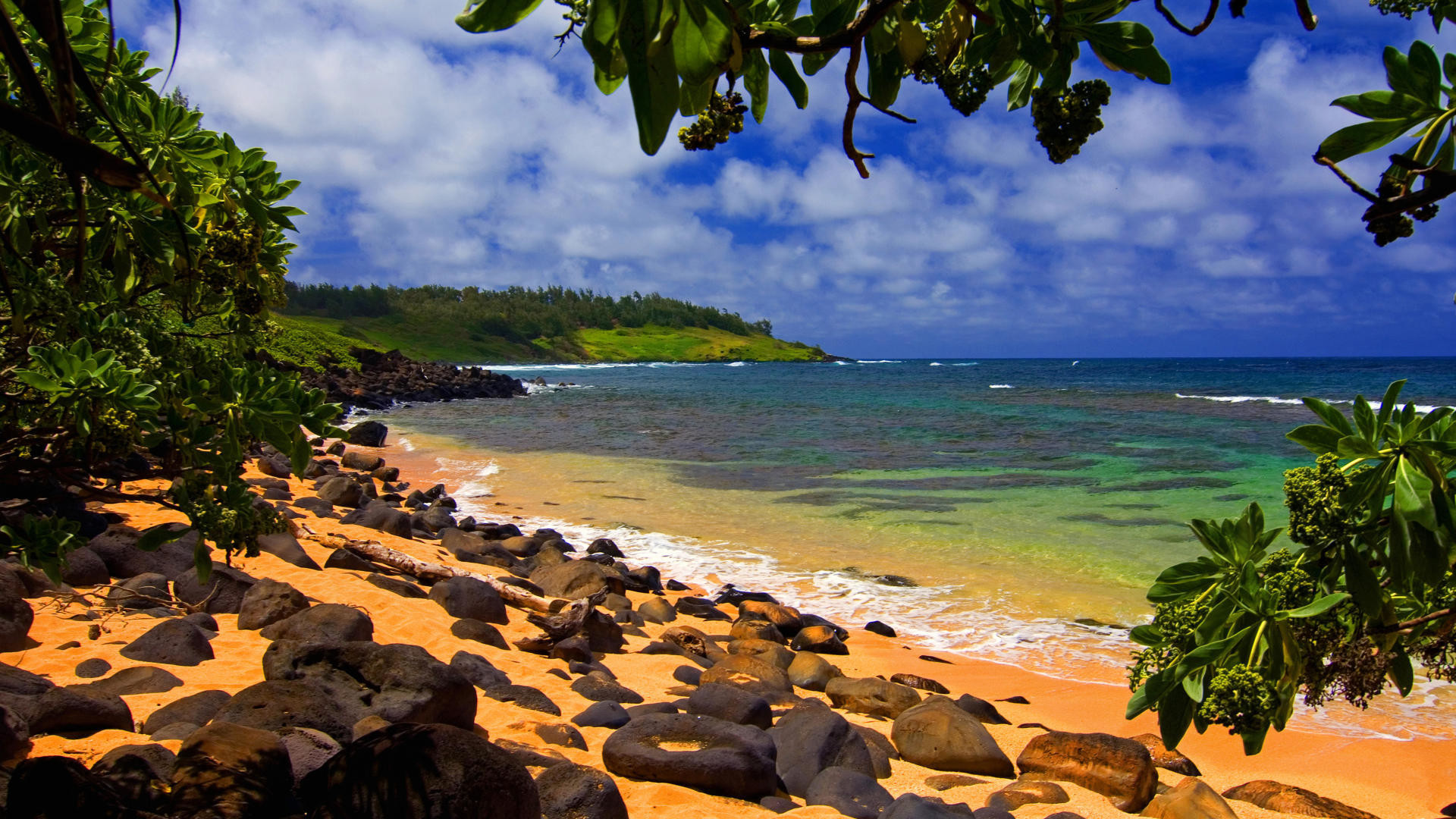 1920x1080 beach_shade_moloaa_kauai_hawaii_travel_images_amp_ecard