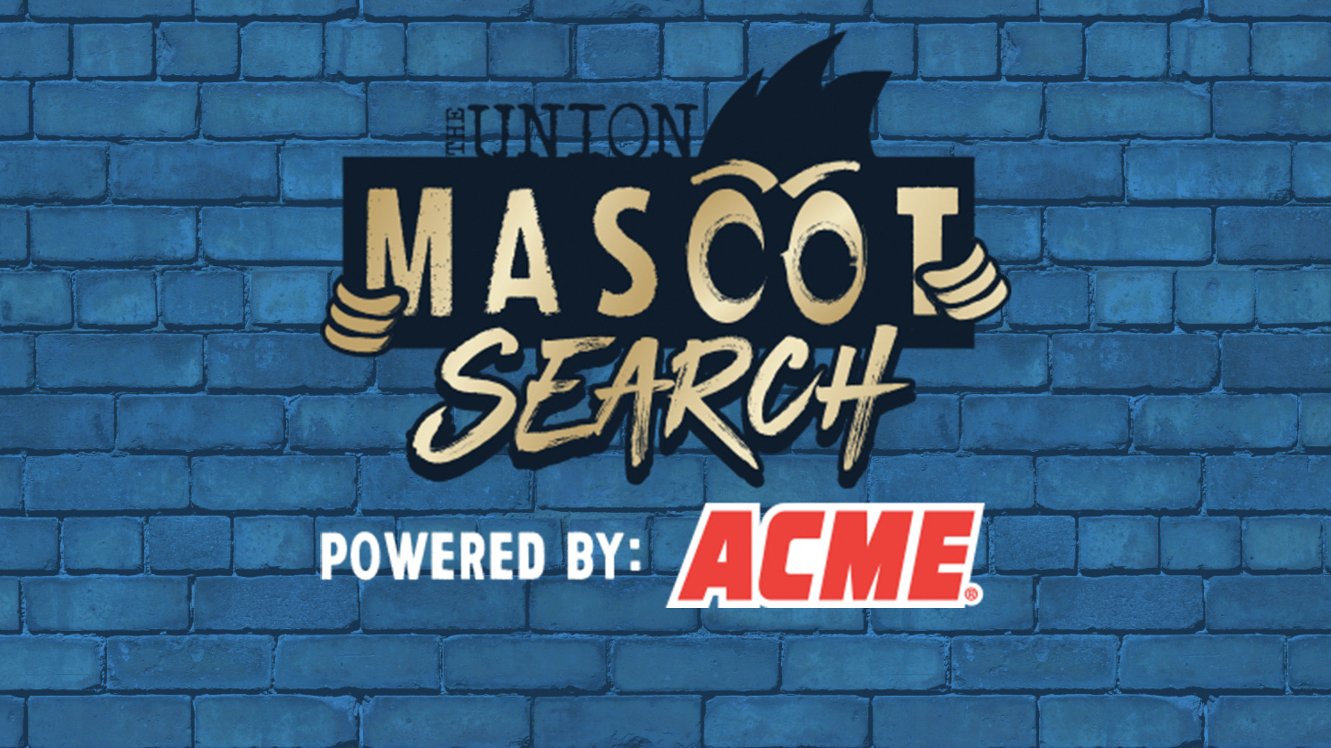 1920x1080 The search is on for a mascot for the Philadelphia Union and they need your  help!