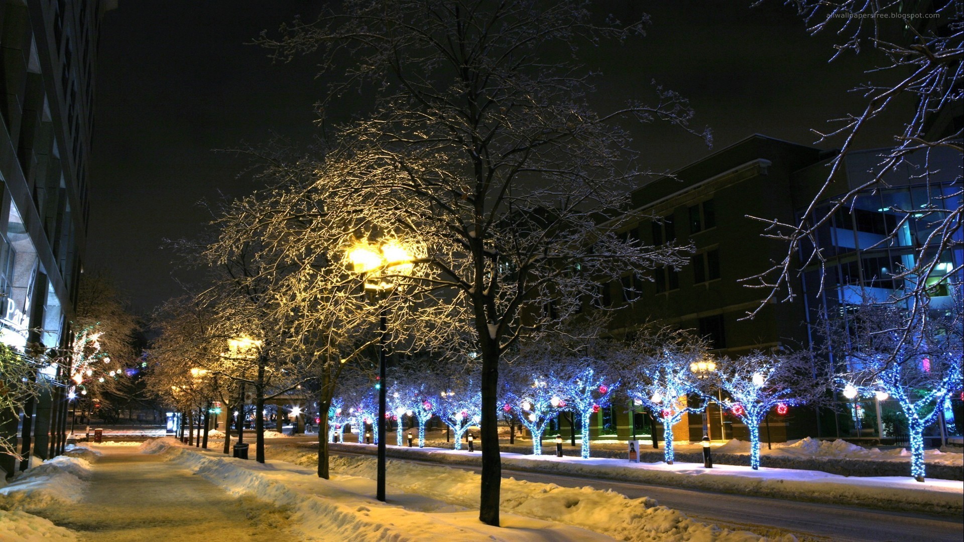 1920x1080 Winter - Night City Late Light Street Christmas Xmas Lights Trees Winter  Desktop Animated Wallpaper Free
