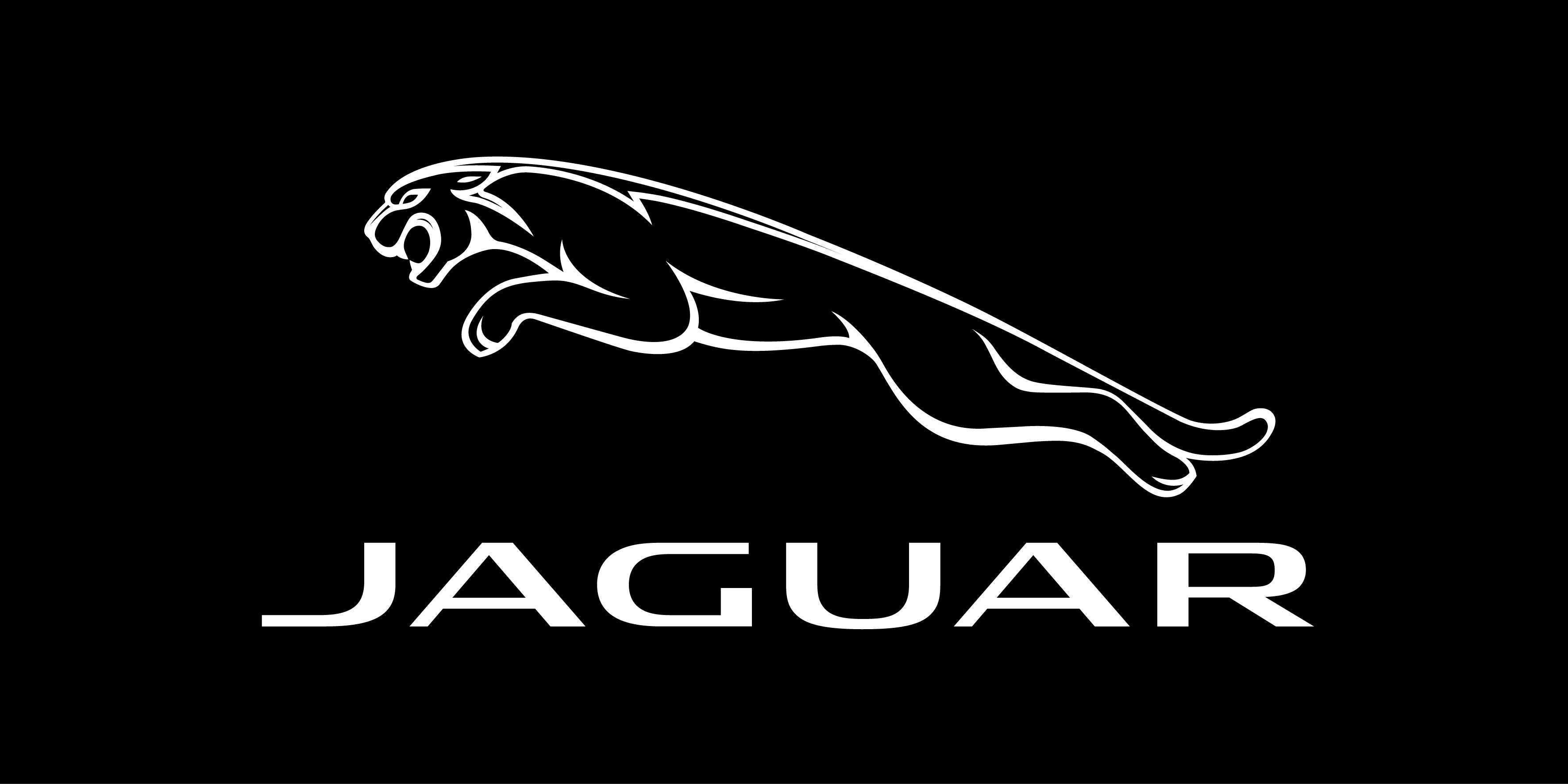 3543x1772 Jaguar Logo Wallpaper 