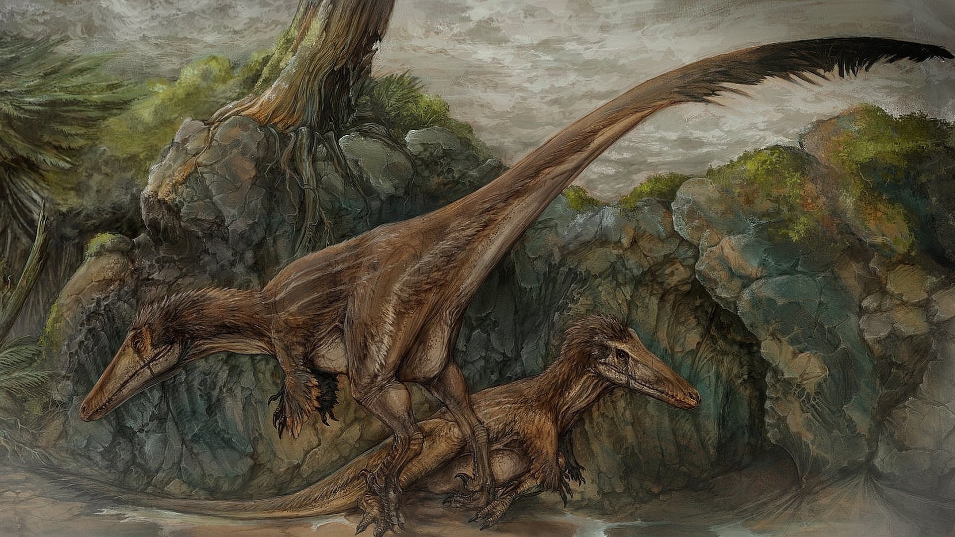 1920x1080 Tiere - Dinosaurier Wallpaper