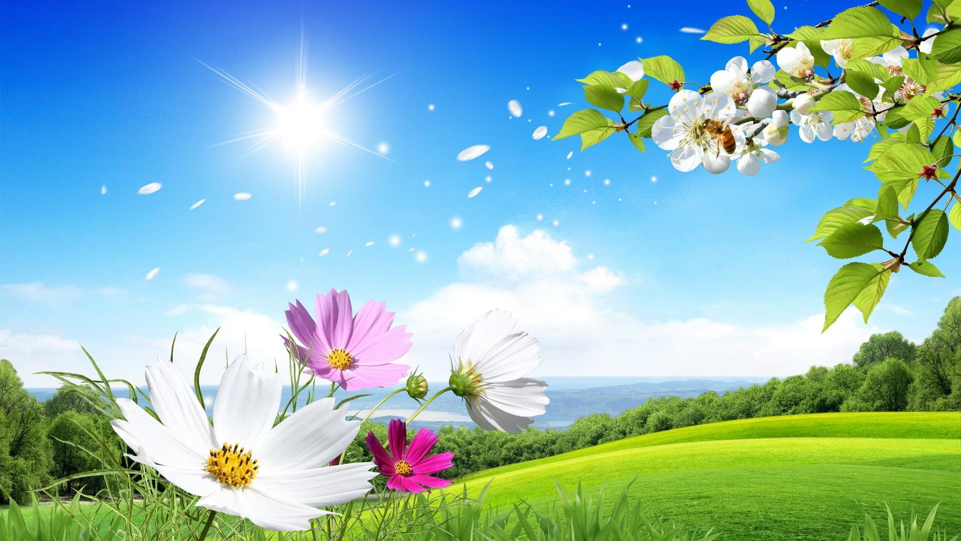 1920x1080  beautiful Summer and flowers scenery wallpaper wide  wallpapers:1280x800,1440x900,1680x1050 -